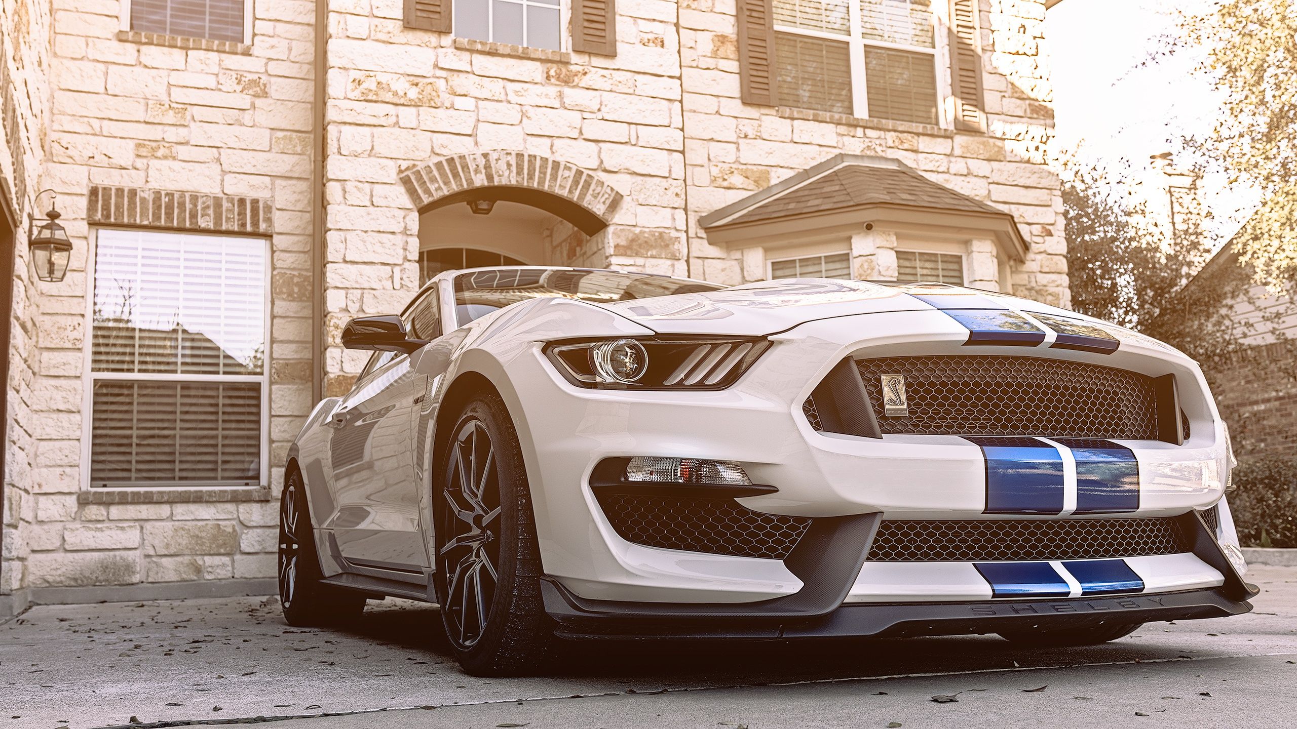 Desktop Wallpaper Ford Mustang GT350 White Cars 2560x1440