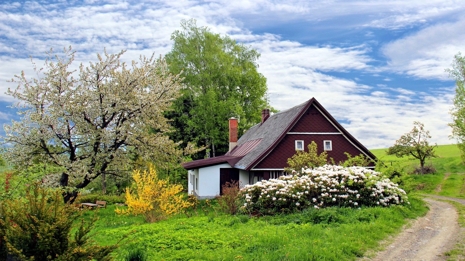 Spring Cottage Landscape Scenery- HD 4K