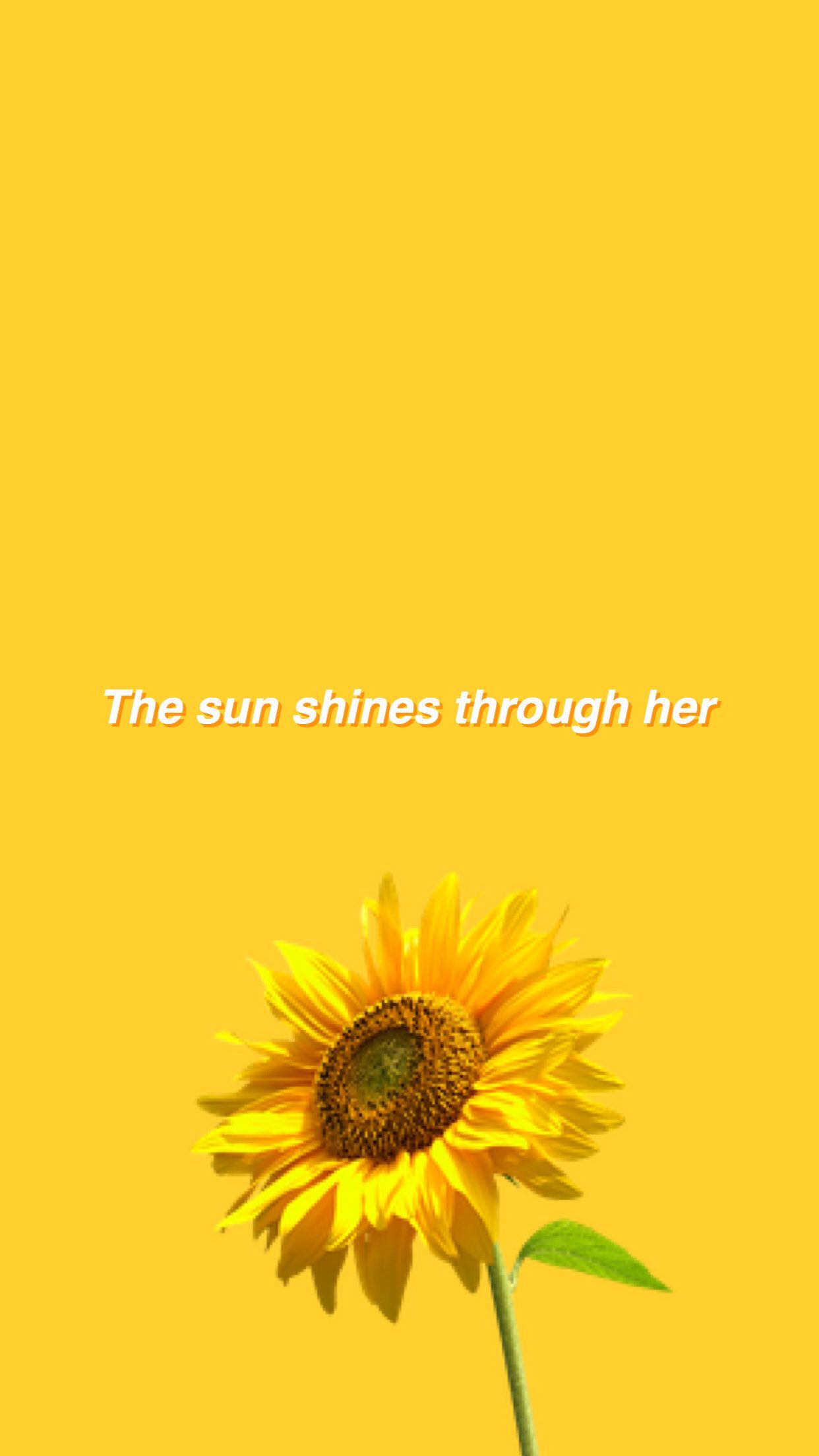Download Cute Aesthetic Sunflower Wallpaper