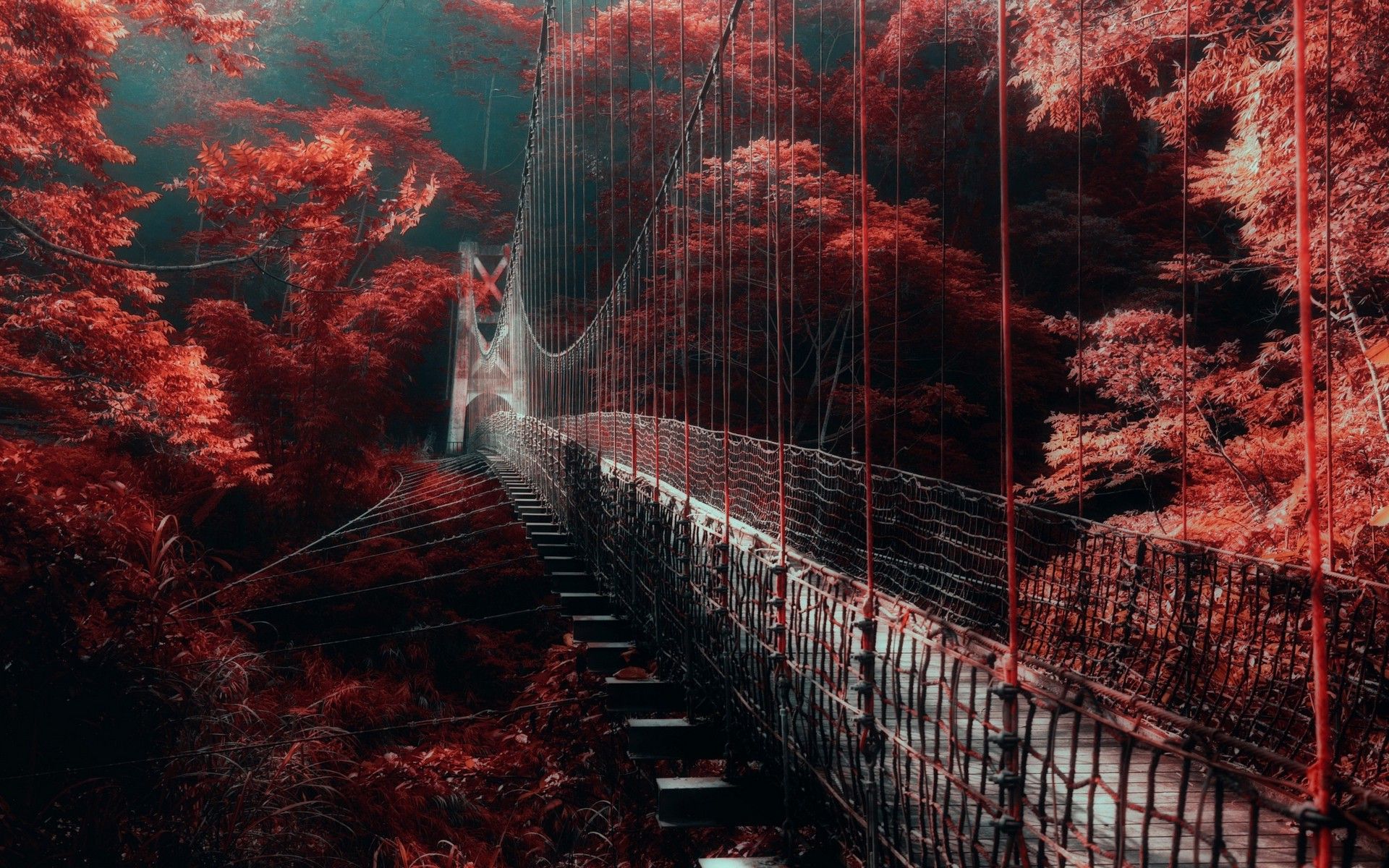 nature, Landscape, Red, Forest, Bridge, Mist, Trees, Walkway Wallpaper HD / Desktop and Mobile Background