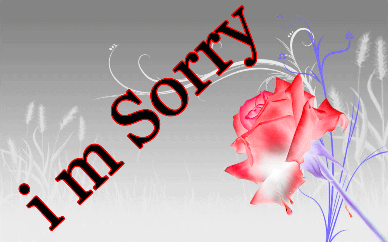 Free download I Am Sorry Image Wallpapers Pics Photo Download Am