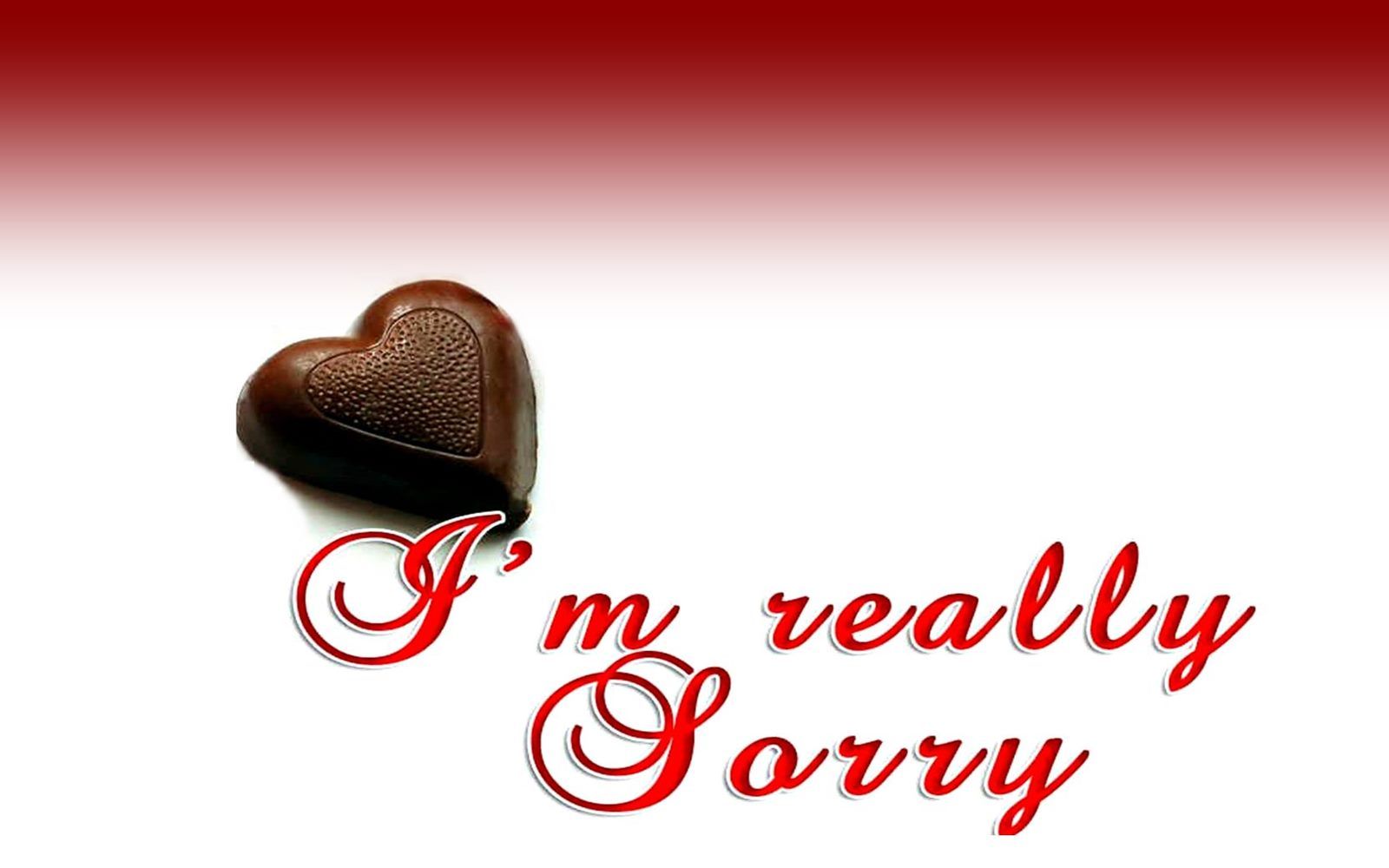 I Am Really Sorry Quotes Hd Wallpapers