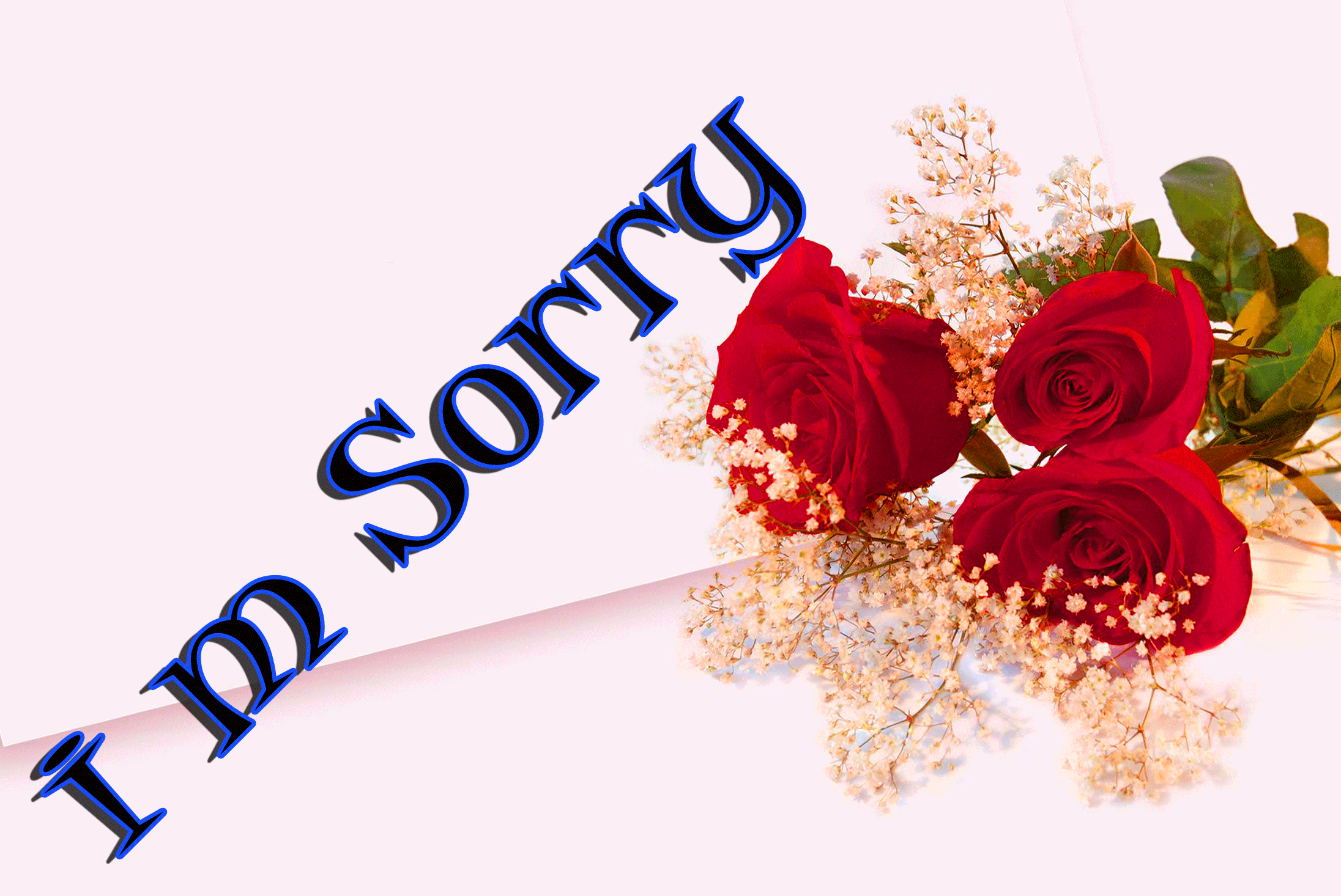 I Am Sorry Image Wallpapers Photo Pics Download