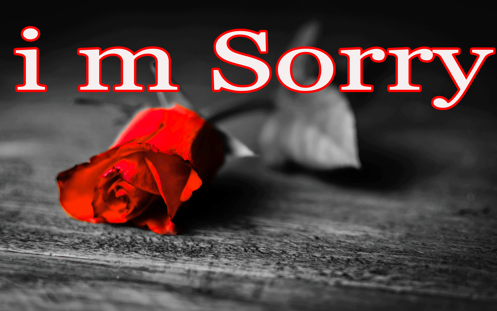 Free download I Am Sorry Image Wallpapers Photo Pics Download Red