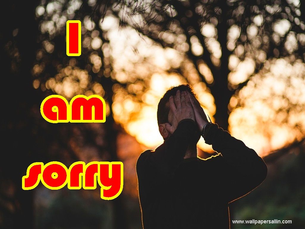 Wallpapers Gallery: i am sorry wallpapers