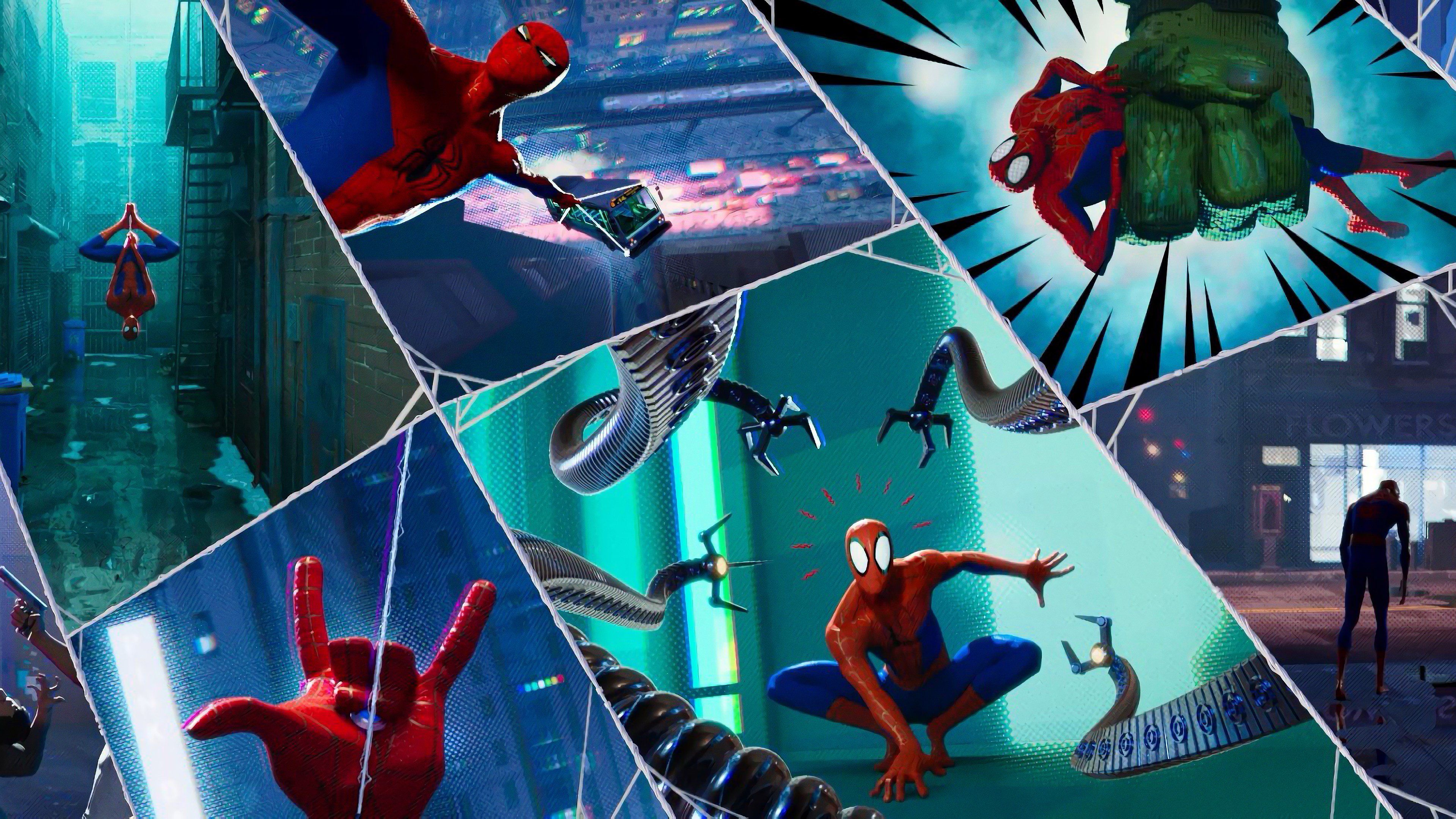 spider man into the spider verse 4k wallpaper reddit