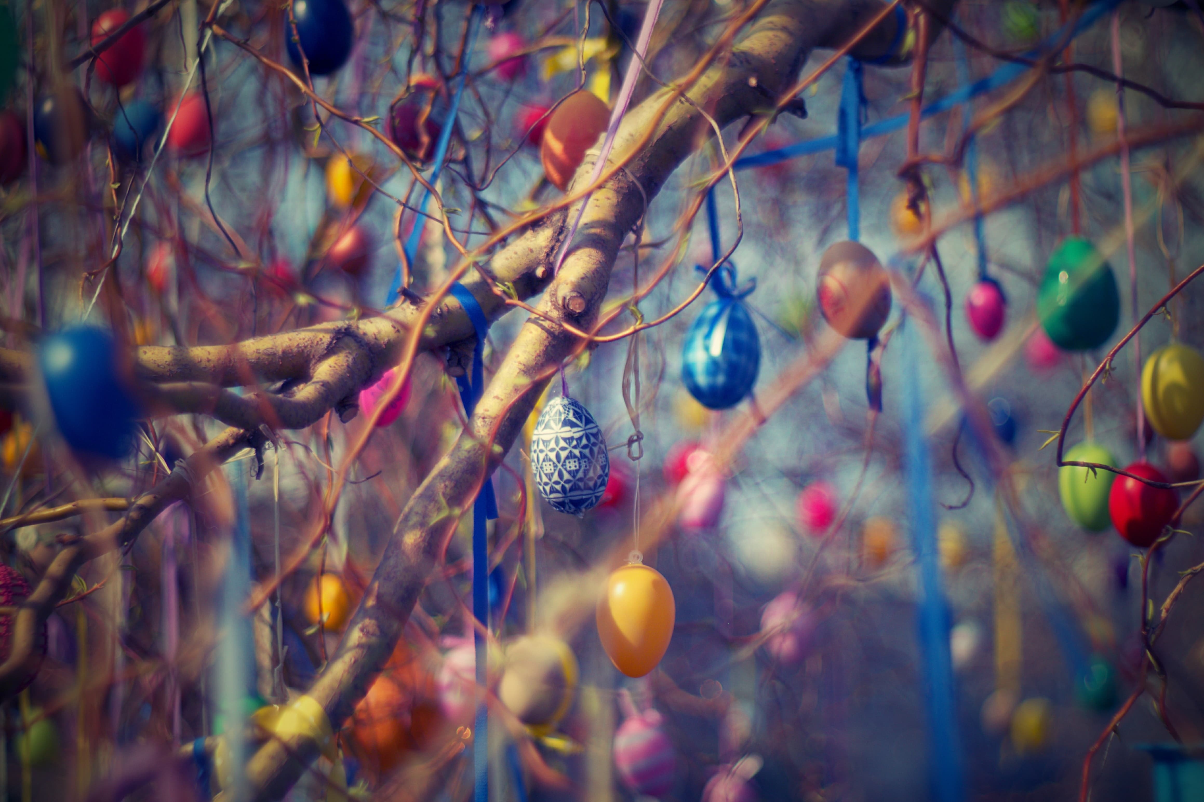 Art Blur Branches Easter Egs Wallpaper and Free Stock