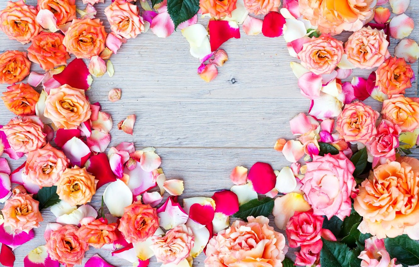 Wallpaper flowers, heart, roses, colorful, heart, pink, flowers