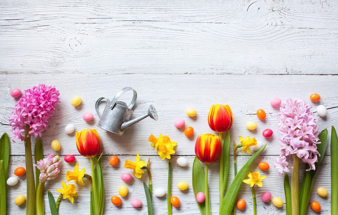 Wallpaper flowers, spring, colorful, Easter, crocuses, tulips
