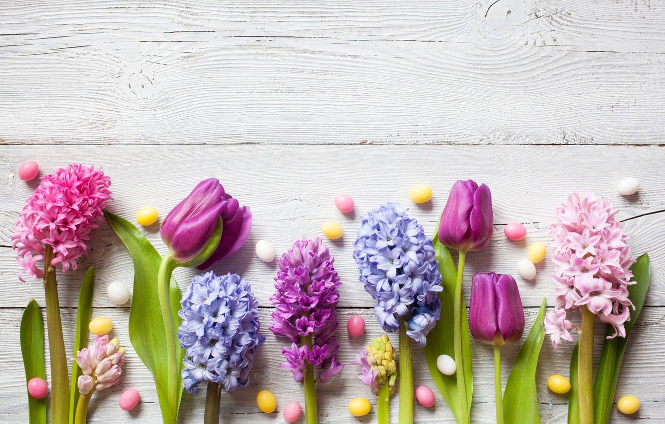 Wallpaper flowers, spring, colorful, Easter, crocuses, tulips