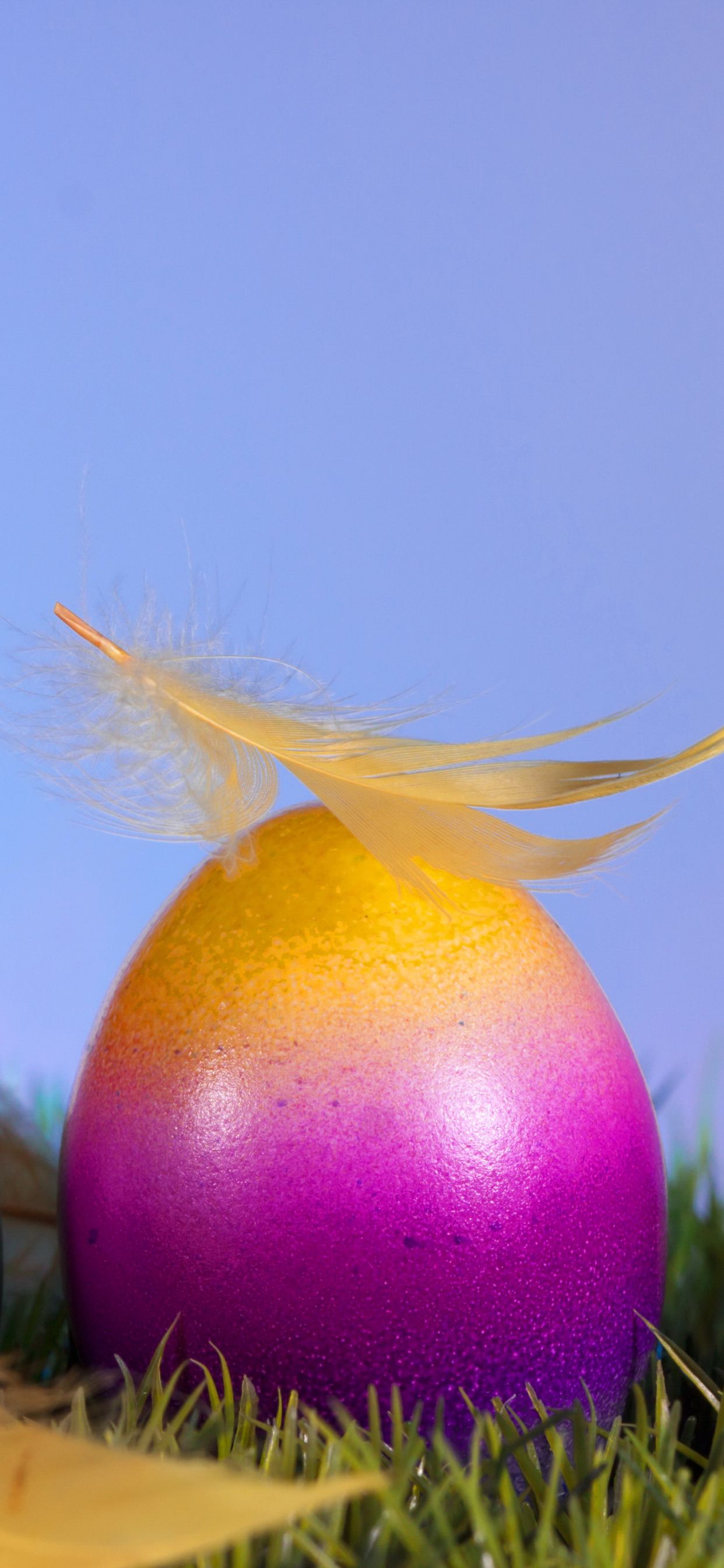 Holiday, Easter, Easter Egg, Egg Wallpaper For iPhone