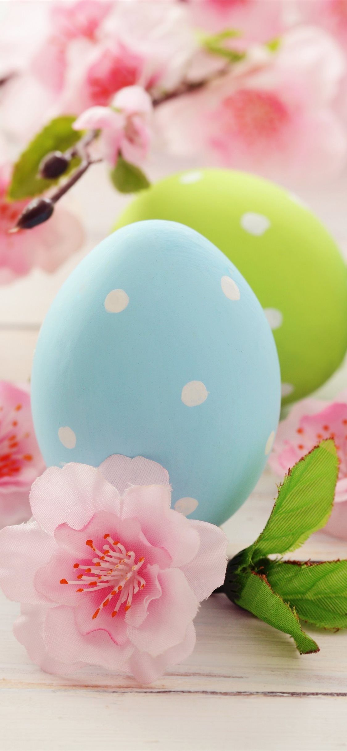 Easter eggs Flowers 5K Celebrations 5569 iPhone 11 Wallpaper Free