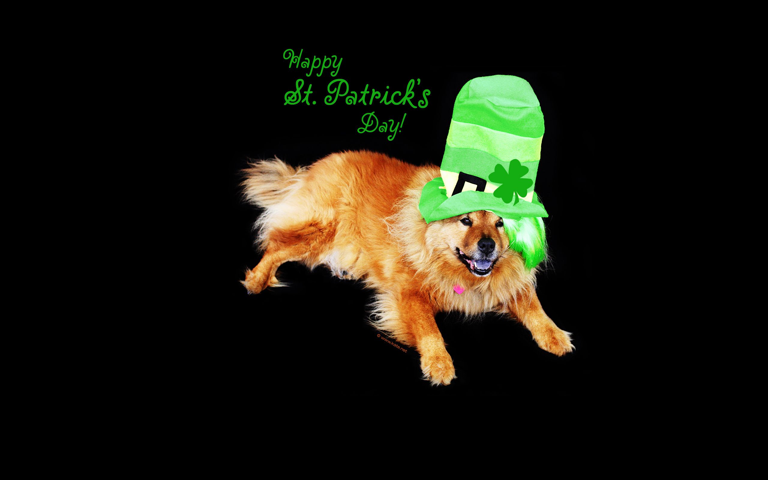 St. Patrick's Day Wallpaper by Kate.net