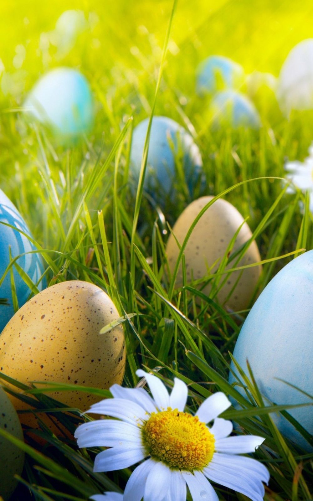 Cute Easter Wallpapers and Backgrounds  WallpaperCG