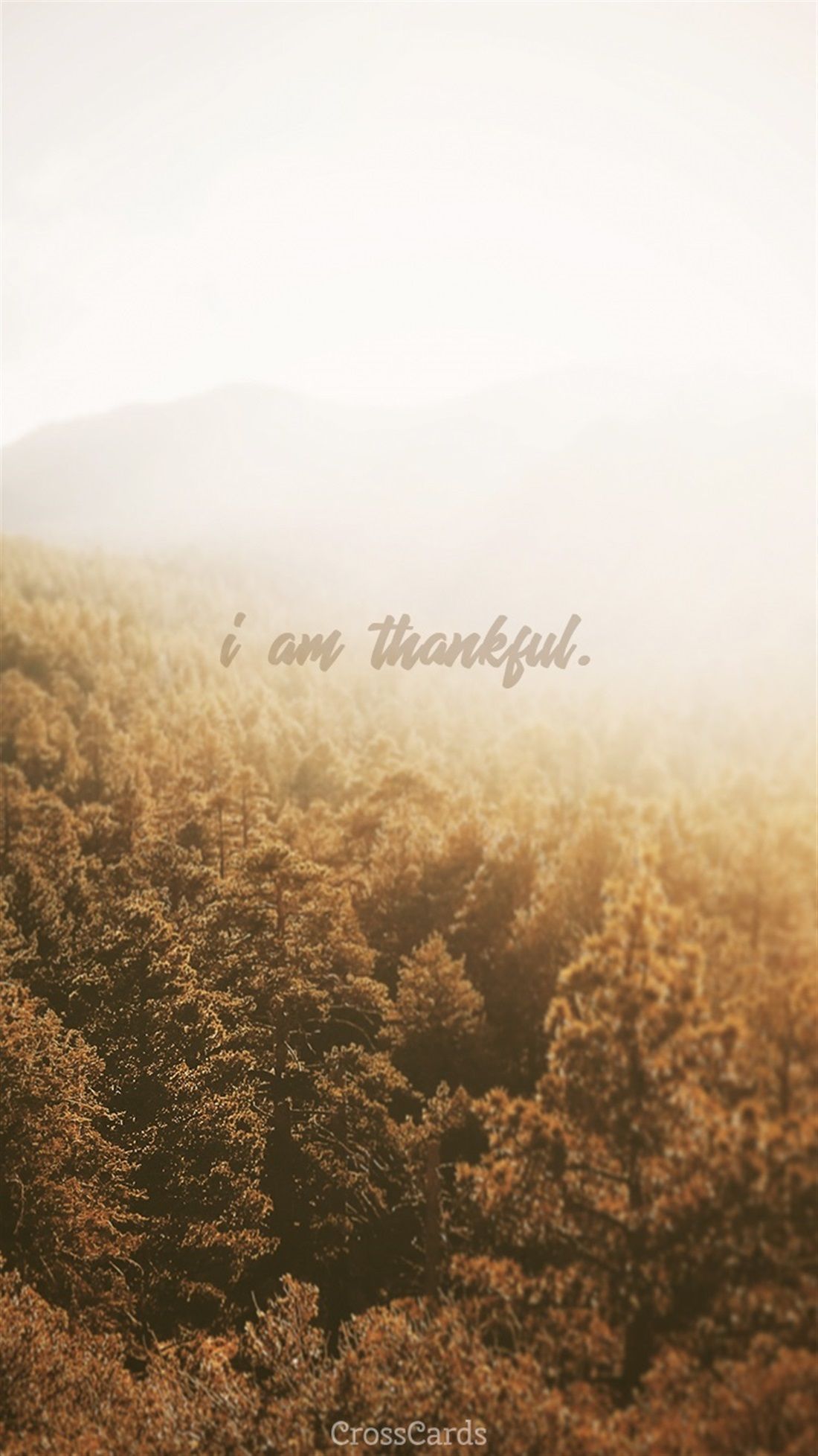 I Am Thankful. Worship wallpaper, Daylight savings time, Wallpaper