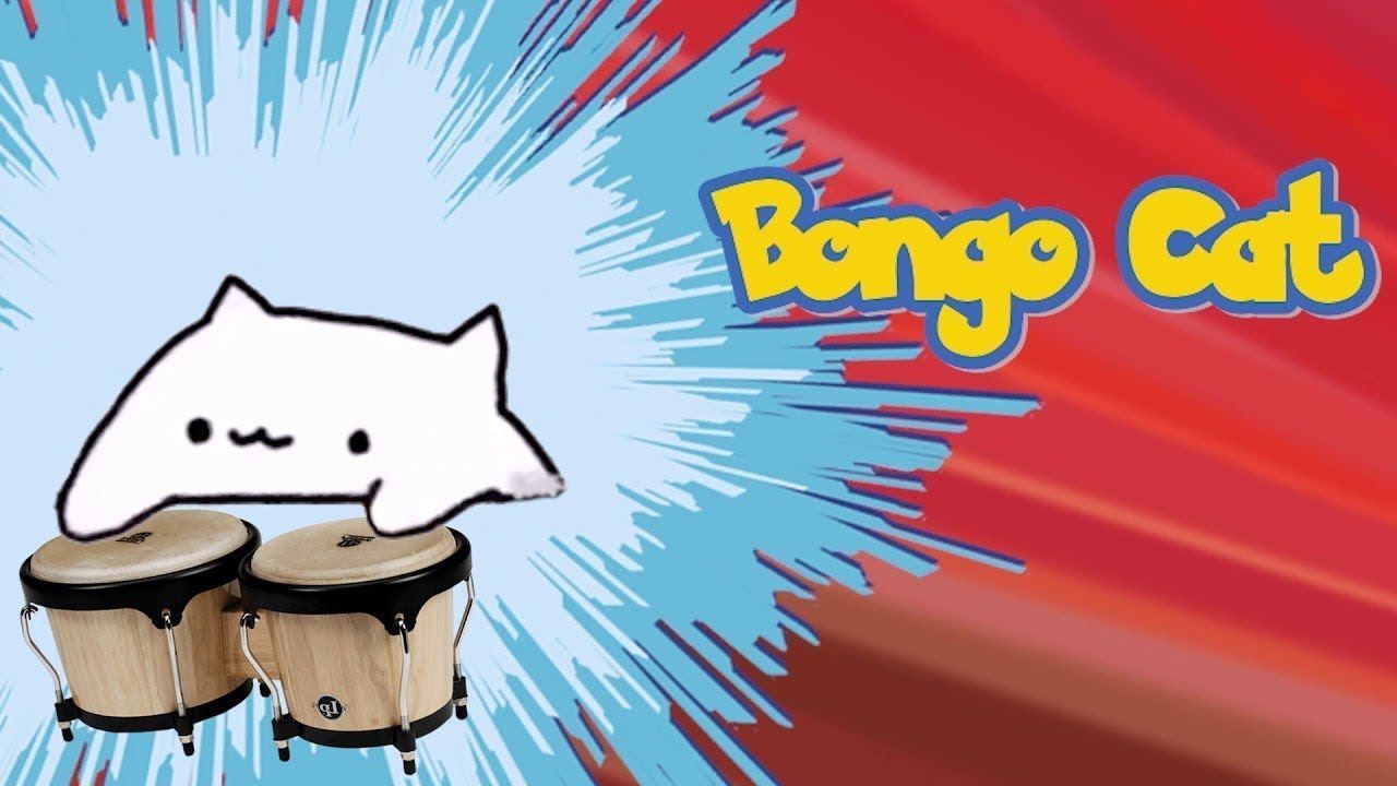 Bongo Cat Wallpaper Free Bongo Cat Background