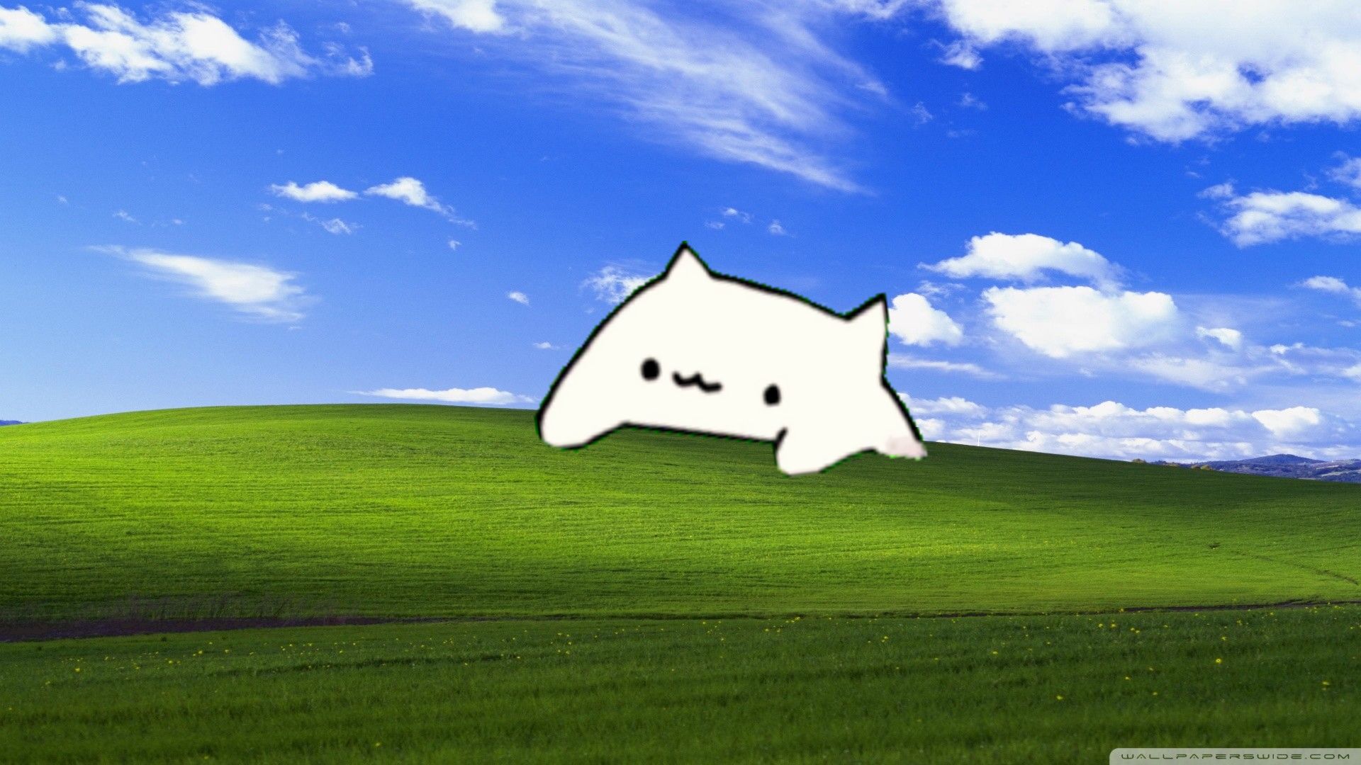Обои котики мемы. Windows котик. Бонго Кэт обои. Прикольные фоны для компьютера. Фон виндовс с котиками.