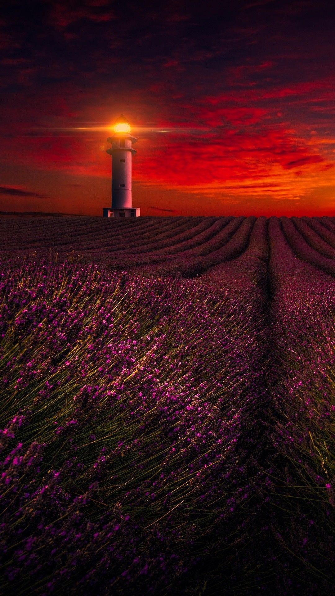 Free Sunset Lavender Field Lighthouse phone wallpaper
