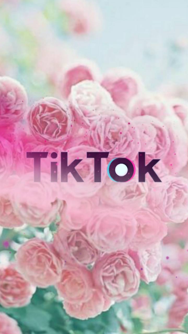 Pink TikTok Wallpapers - Wallpaper Cave