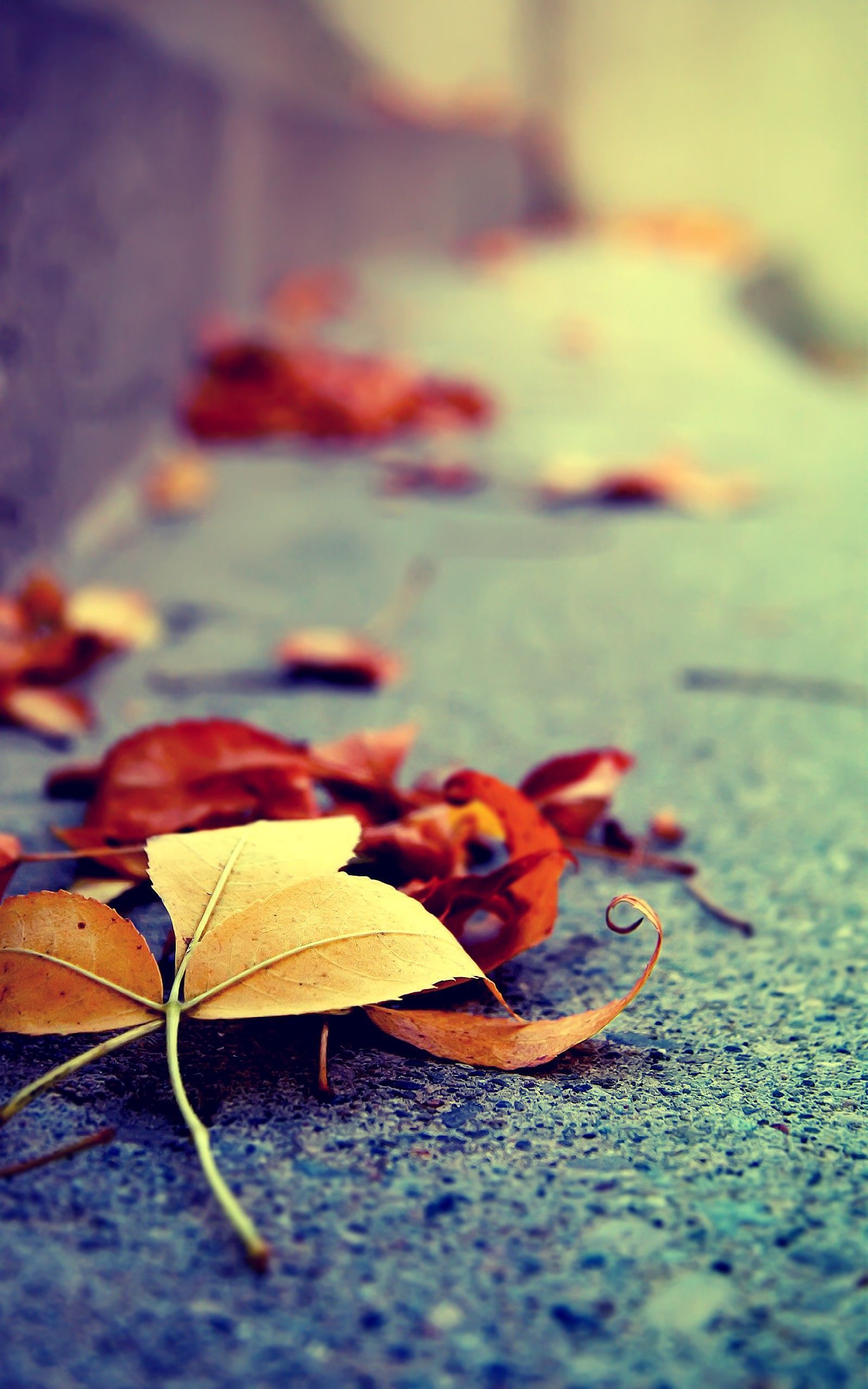 Hd Vertical Wallpaper Page HD Wallpaper HD Download