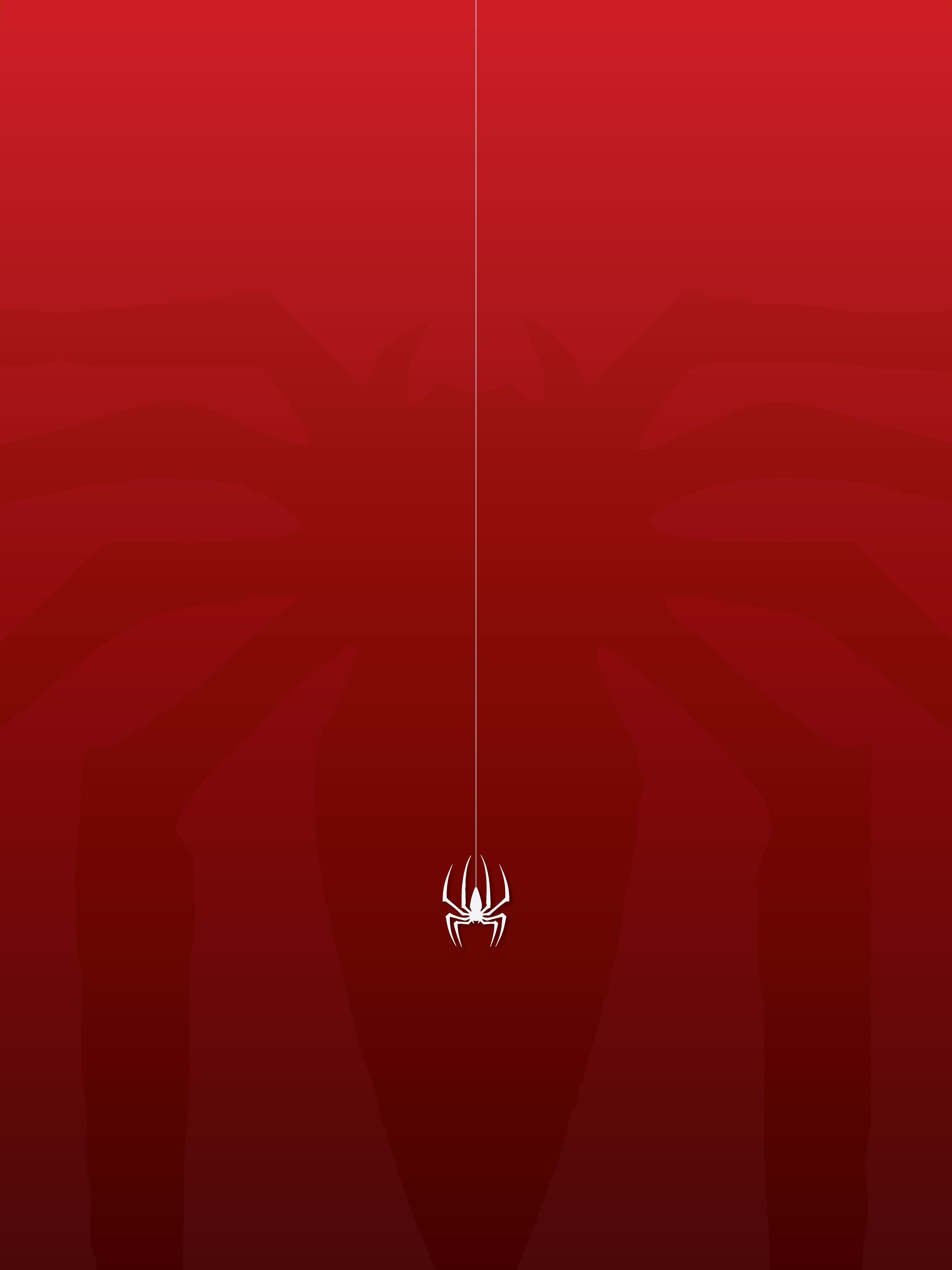 Phone Spiderman Wallpaper HD Wallpaper