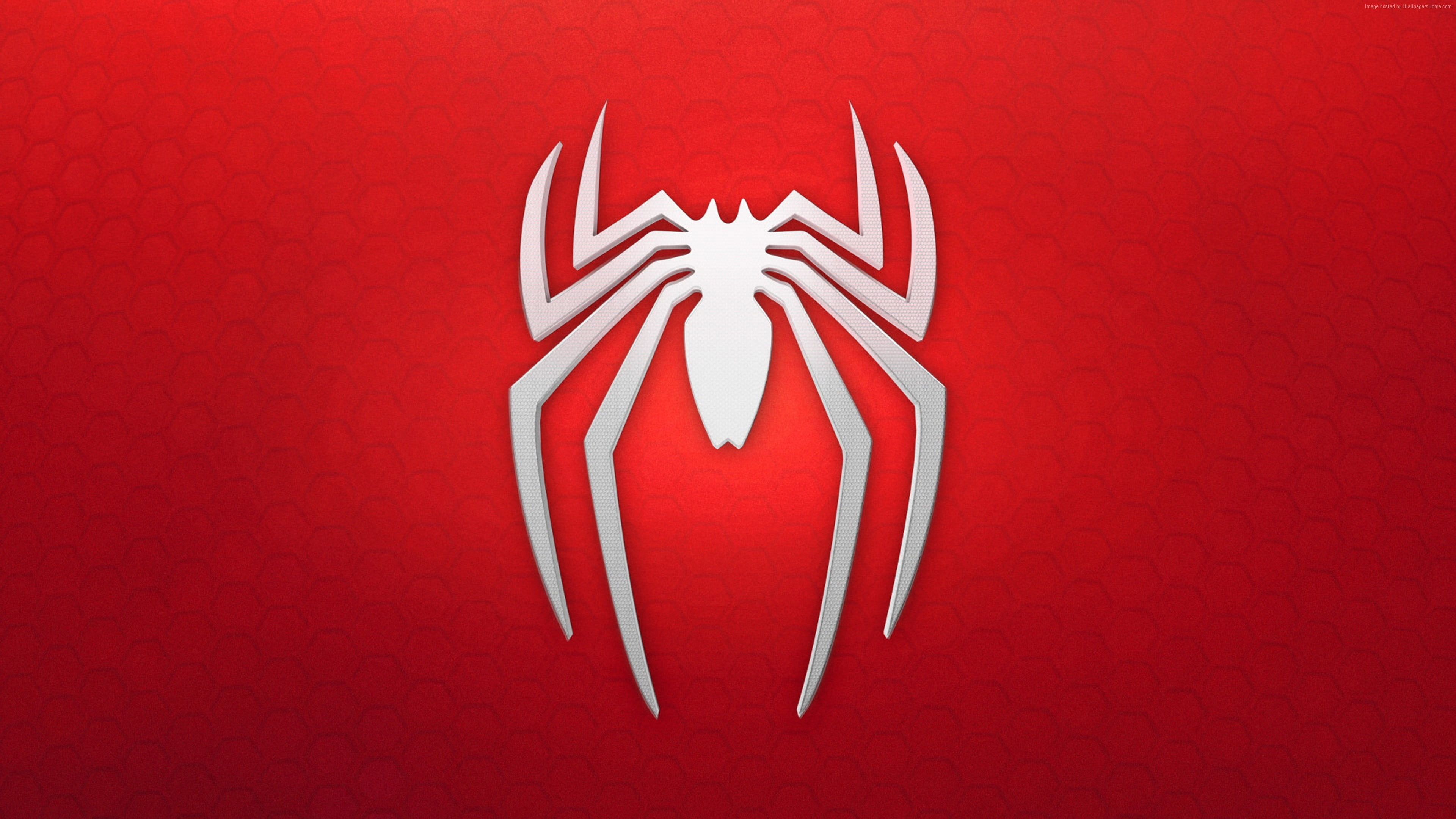 Spider Man Logo HD Wallpaper