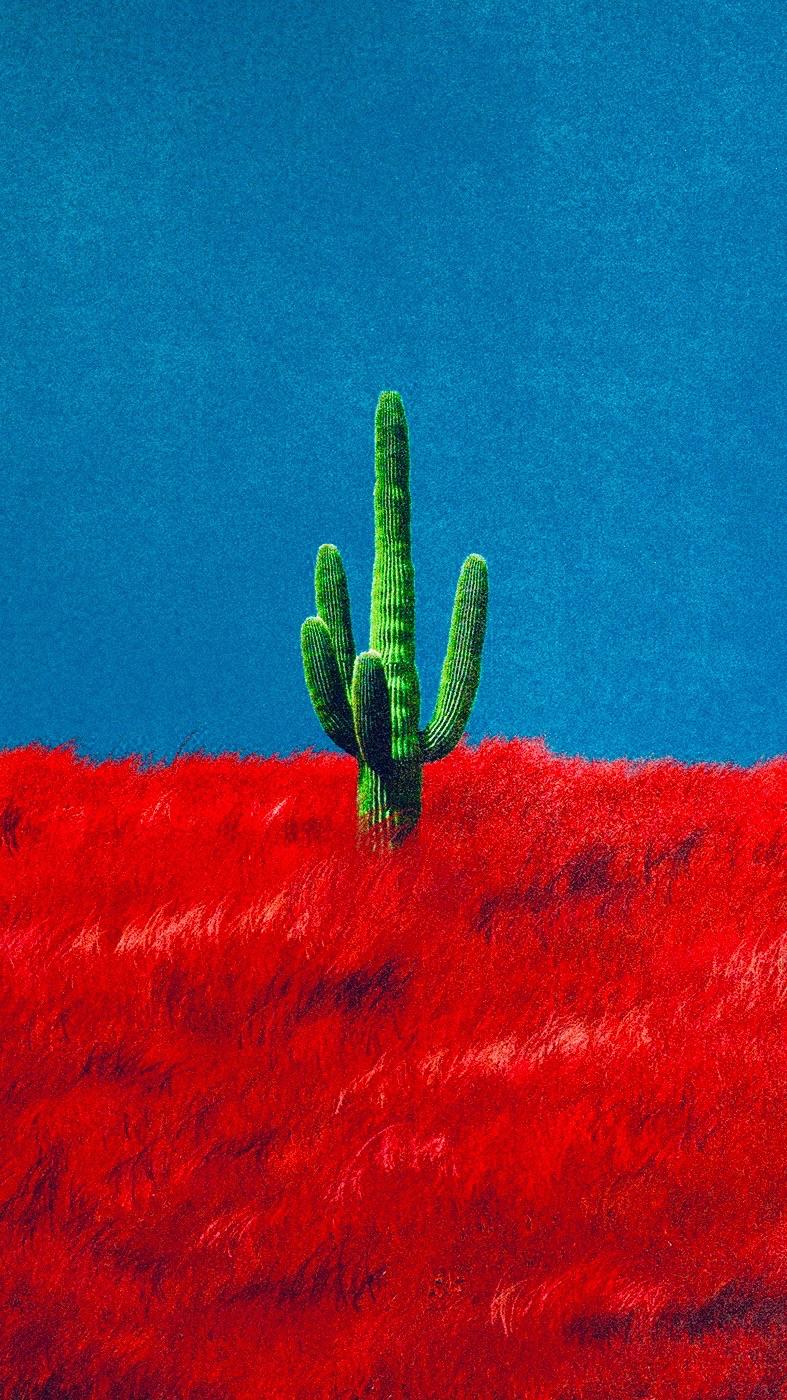 Here's a 9:16 Cactus Wallpaper :)