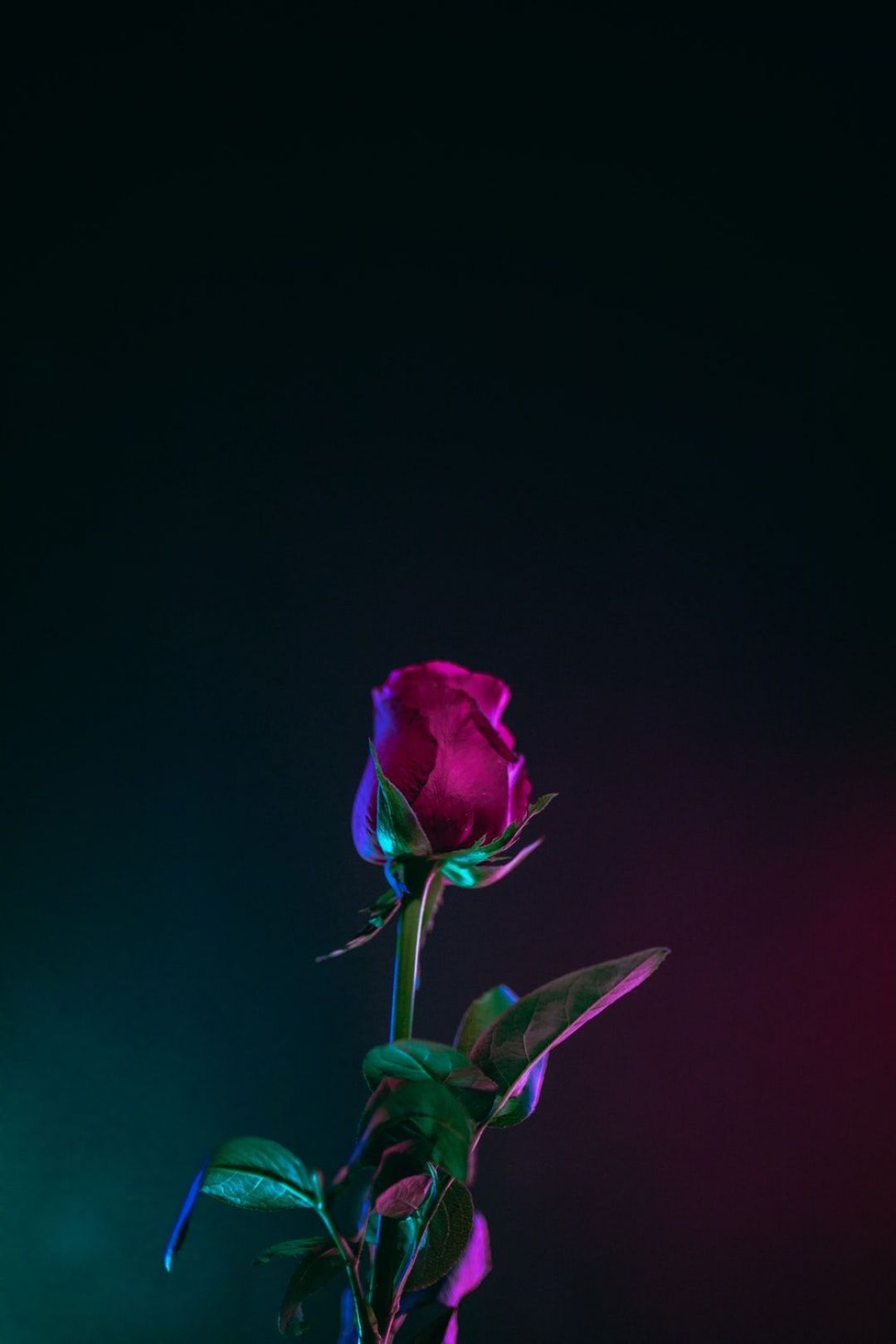 Aesthetic HD Android Wallpapers - Wallpaper Cave