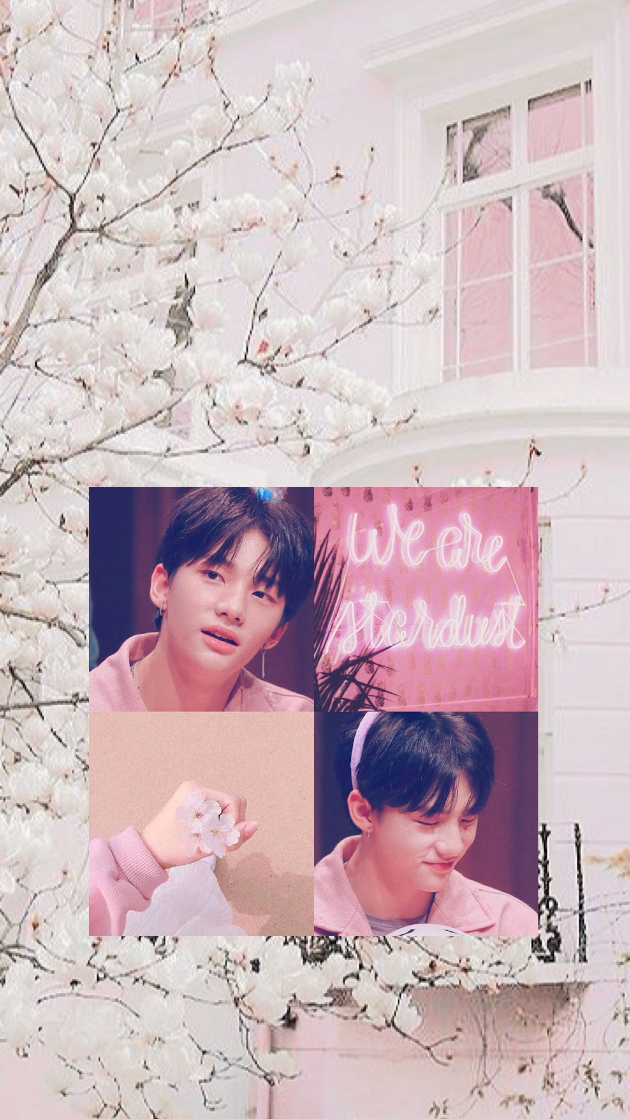 Stray Kids Hyunjin wallpaper pink. Nct, Kim, Monsta x