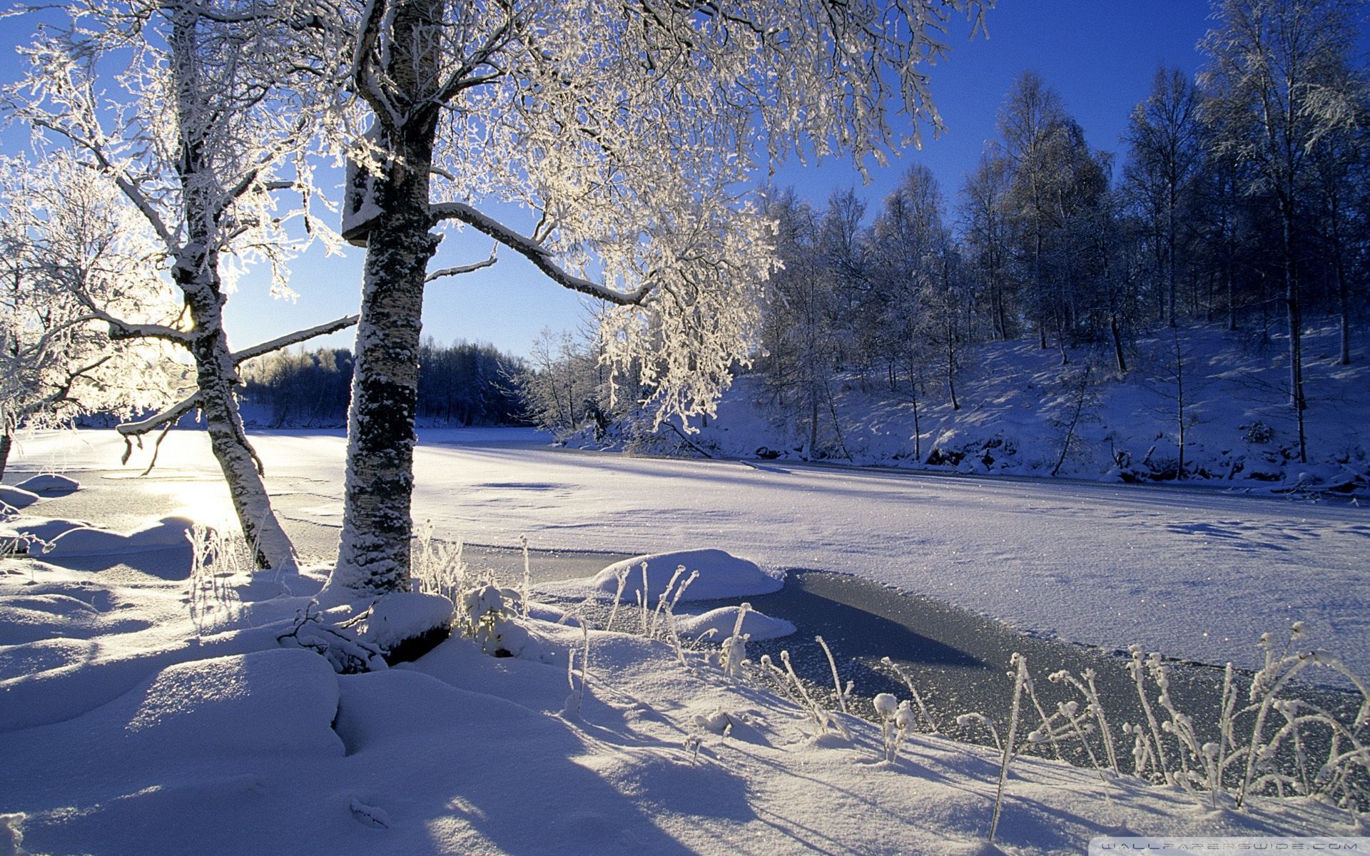 Winter River Wallpaper