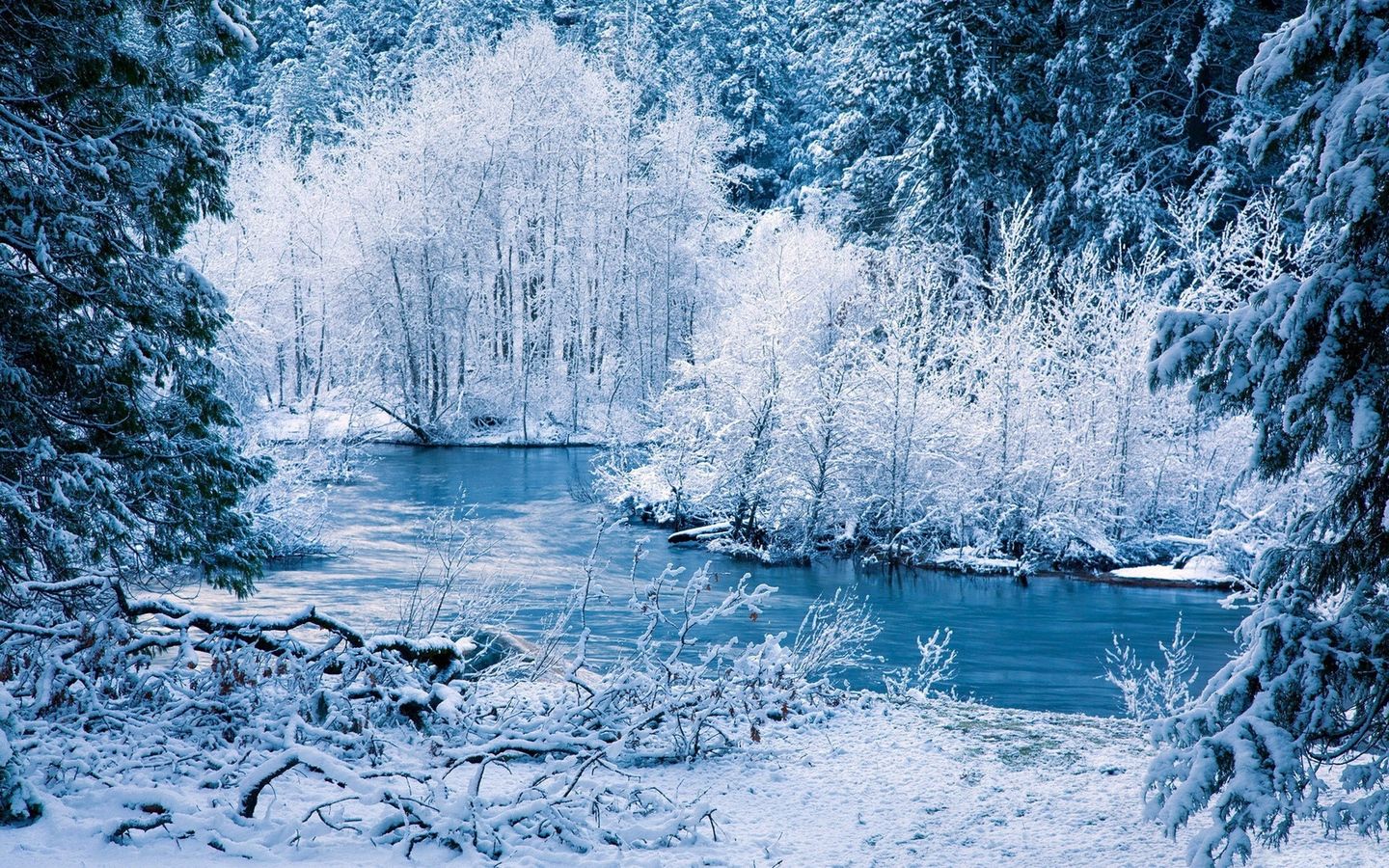Download wallpaper 1440x900 winter, river, snow, trees, landscape