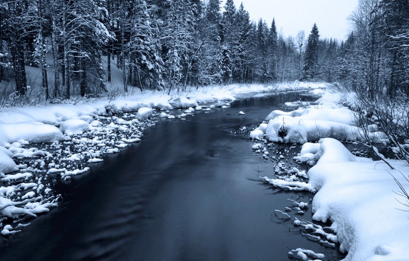 Wallpaper winter, forest, snow, river, black and white, forest, Winter, river, snow image for desktop, section пейзажи