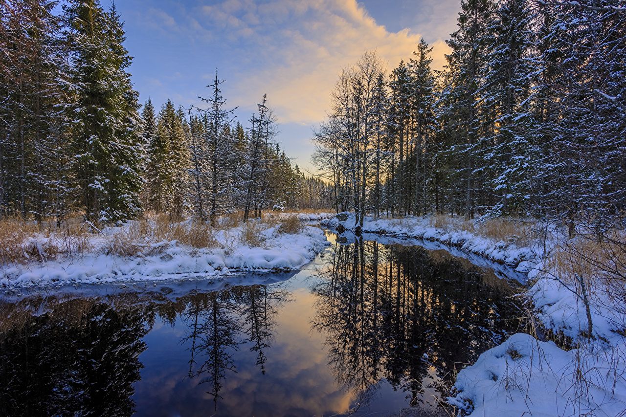Desktop Wallpaper Arvika Nature Spruce Winter Snow Forests river