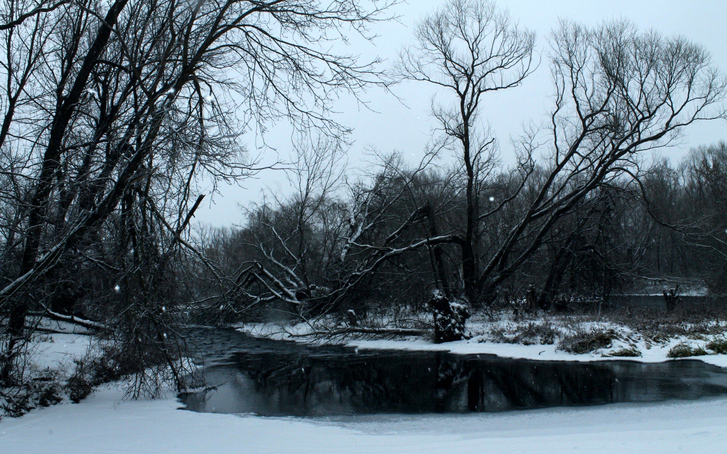 River in winter forest. beautiful wallpaper, U 1101703072