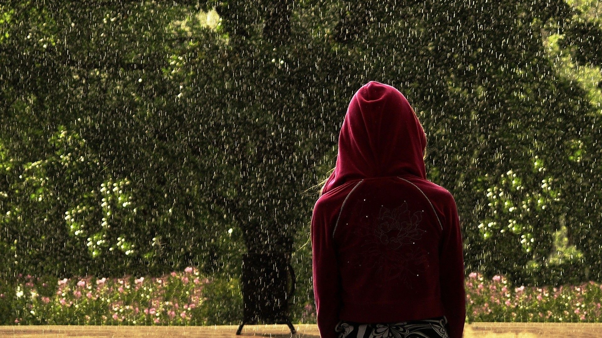 women, rain, outdoors, hoodie wallpaper
