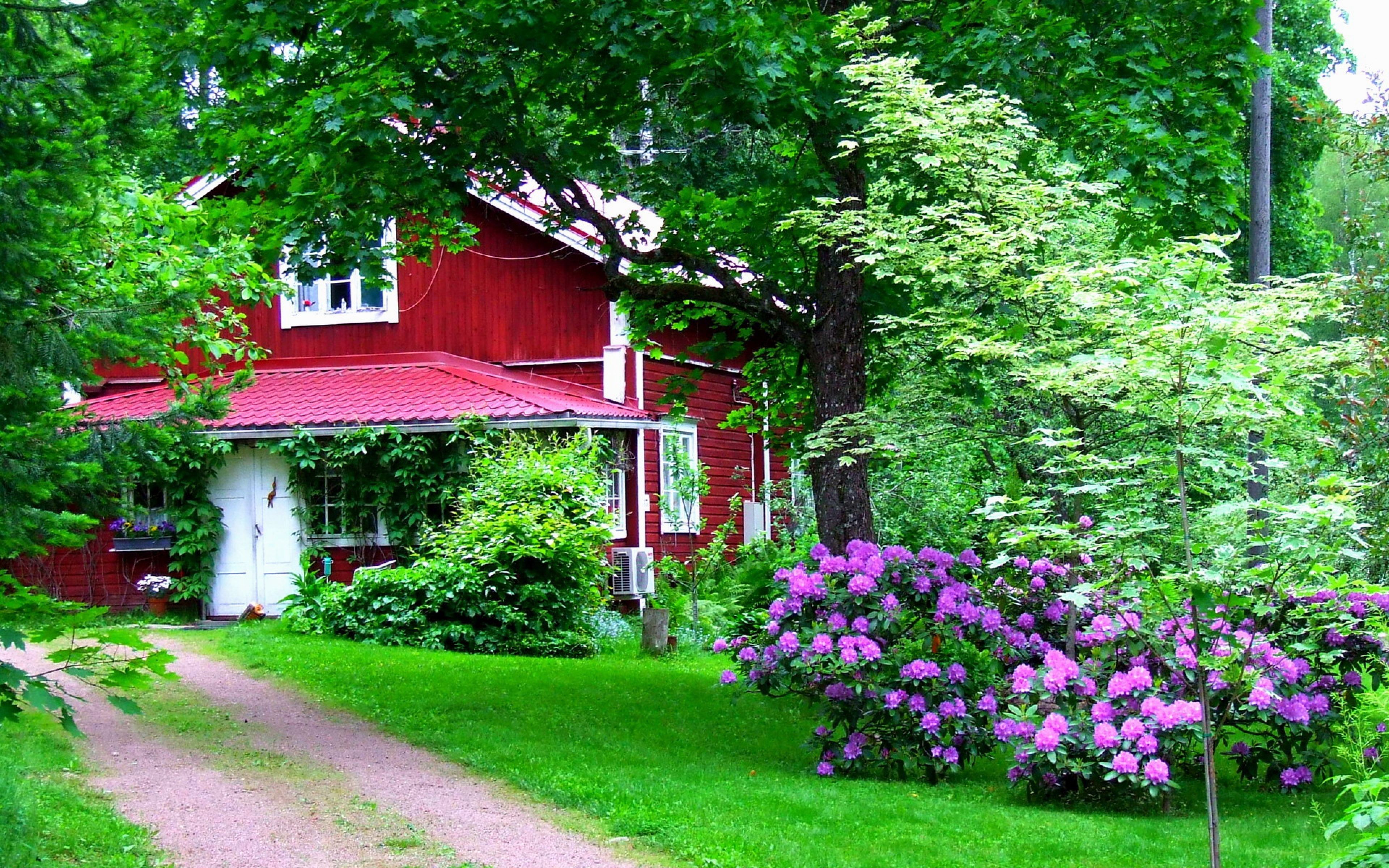 garden HD wallpaper download home