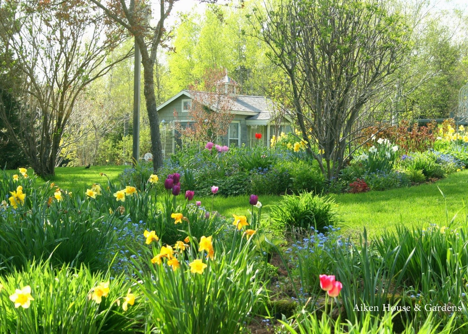 Dreaming of our Spring Garden. Beautiful gardens, Spring garden