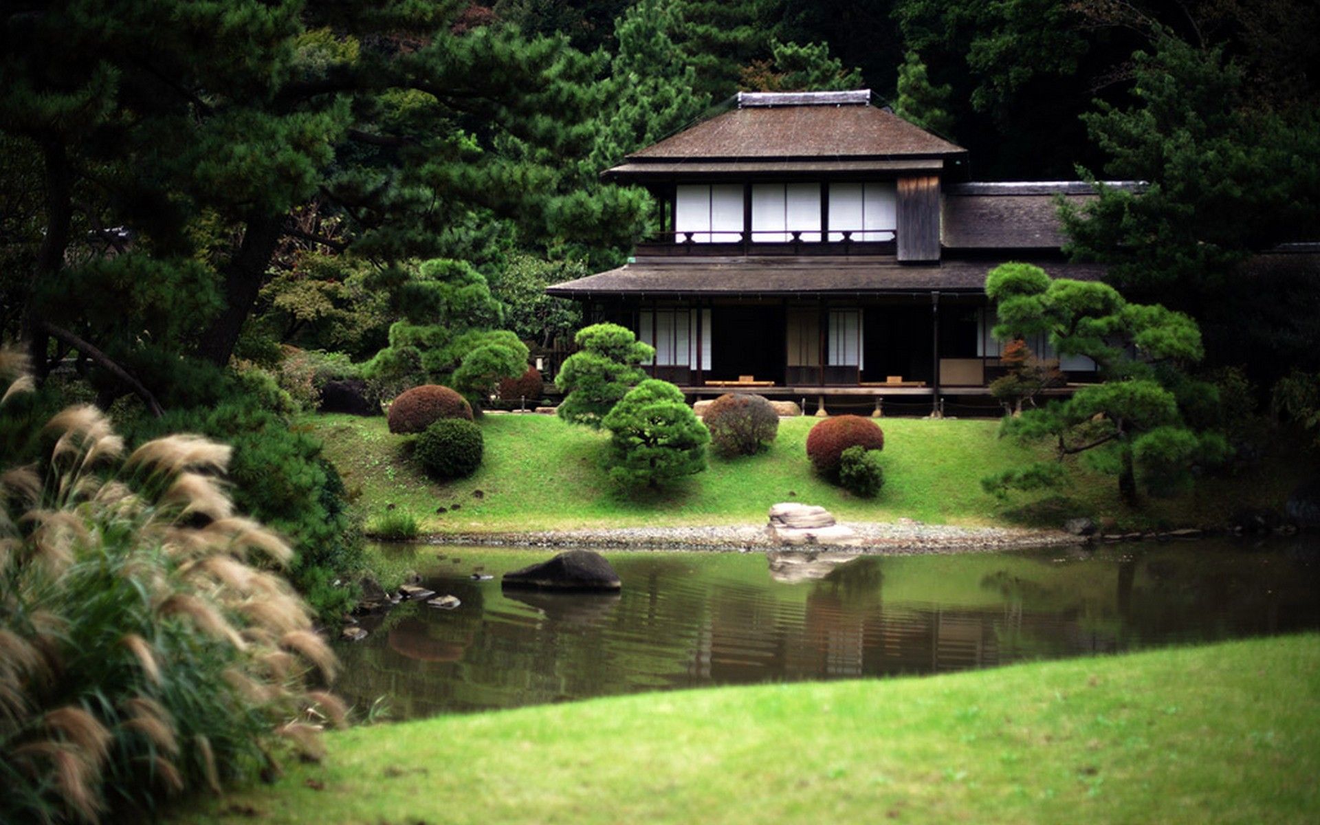 Japan, flowers, houses, spring, pond, Japanese gardens, streams