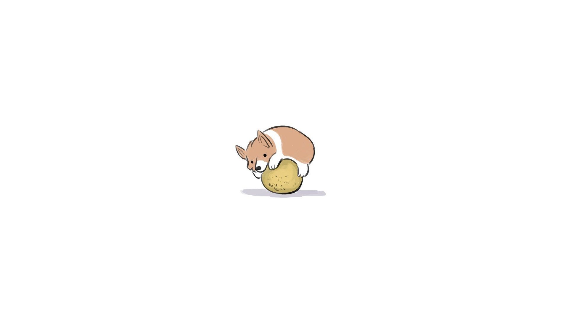 Premium Vector | Cute welsh corgi puppy lying on back cartoon icon | Corgi  doodle, Corgi cartoon, Corgi drawing