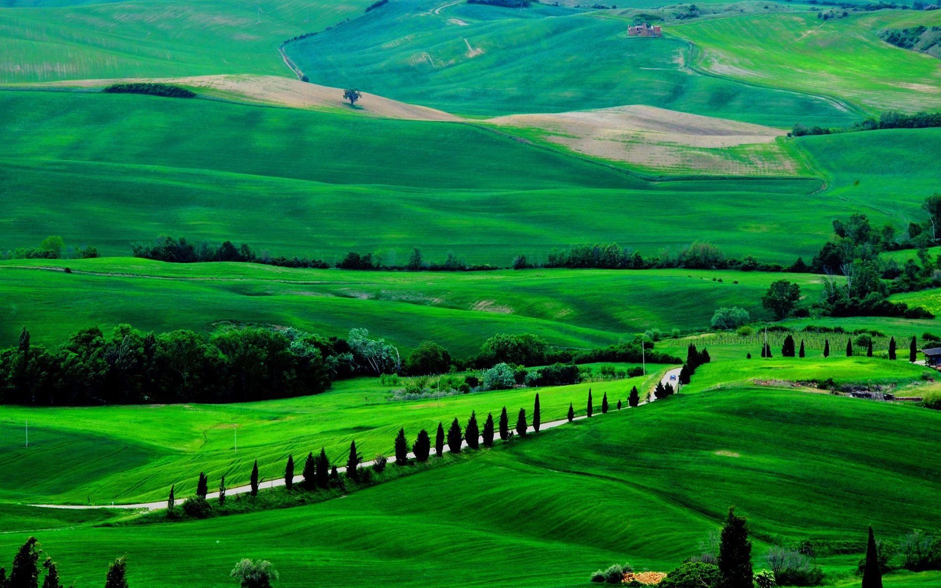 Wallpaper Italy, Tuscany, spring scenery, fields, road, trees