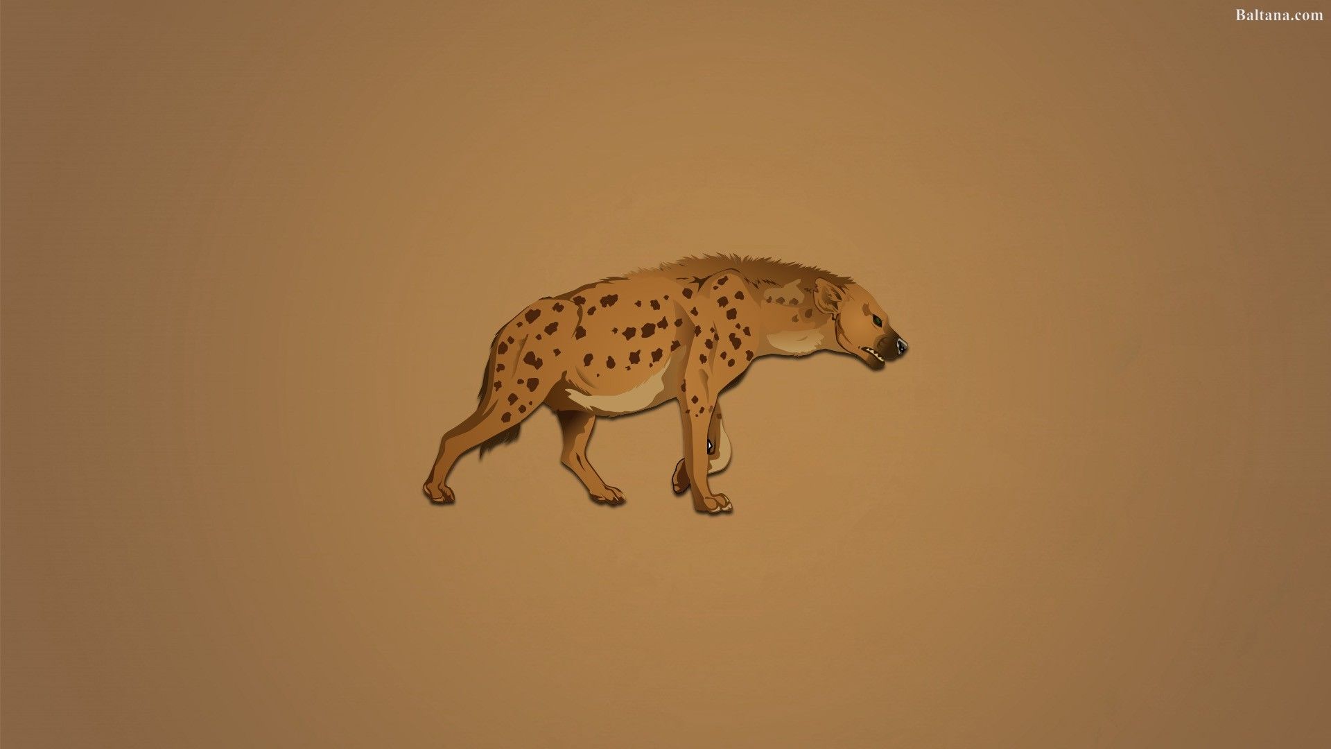 Hyena Wallpaper