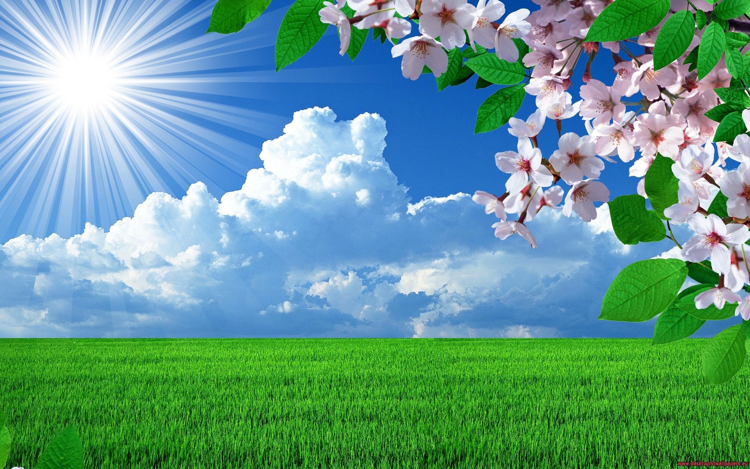 Free download Sunny spring nature wallpaper and image wallpaper