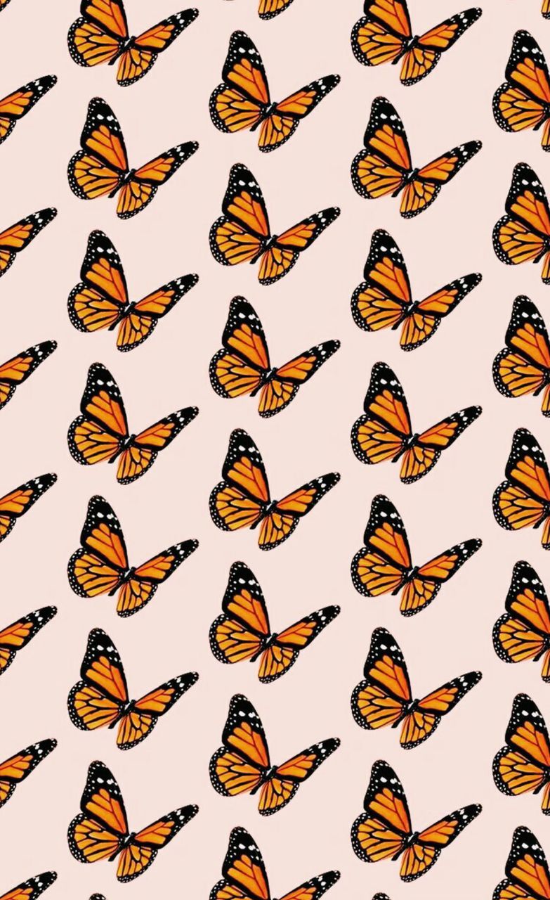 Vsco Wallpapers Pink Butterfly