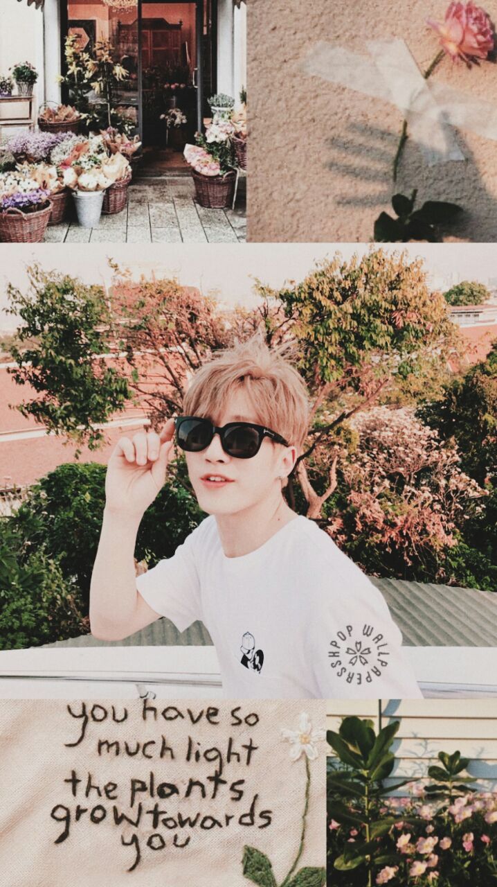 jinjin aesthetic