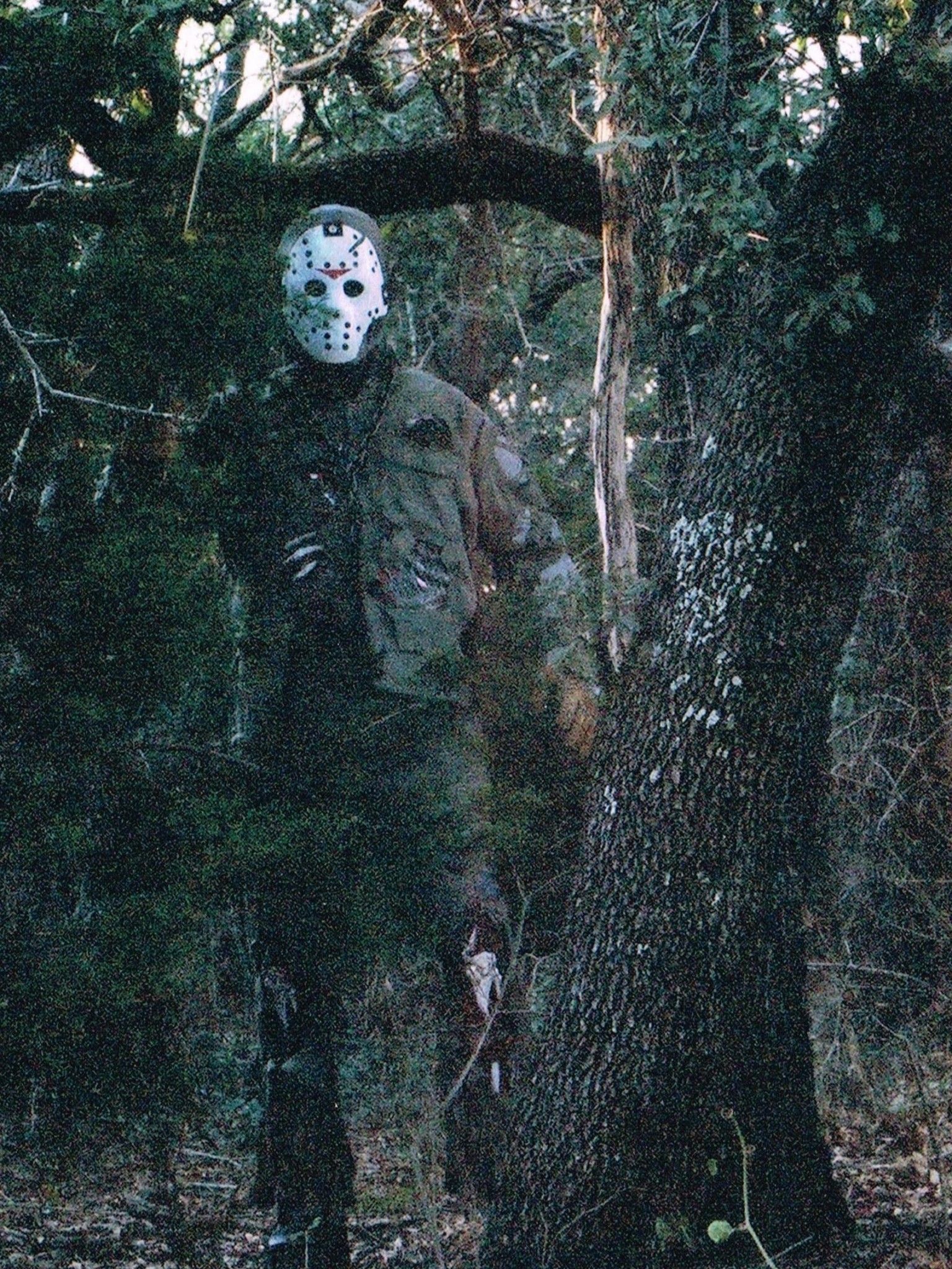 Friday the 13th, Jason Vorhees, DEPTH EFFECT optimized, phone