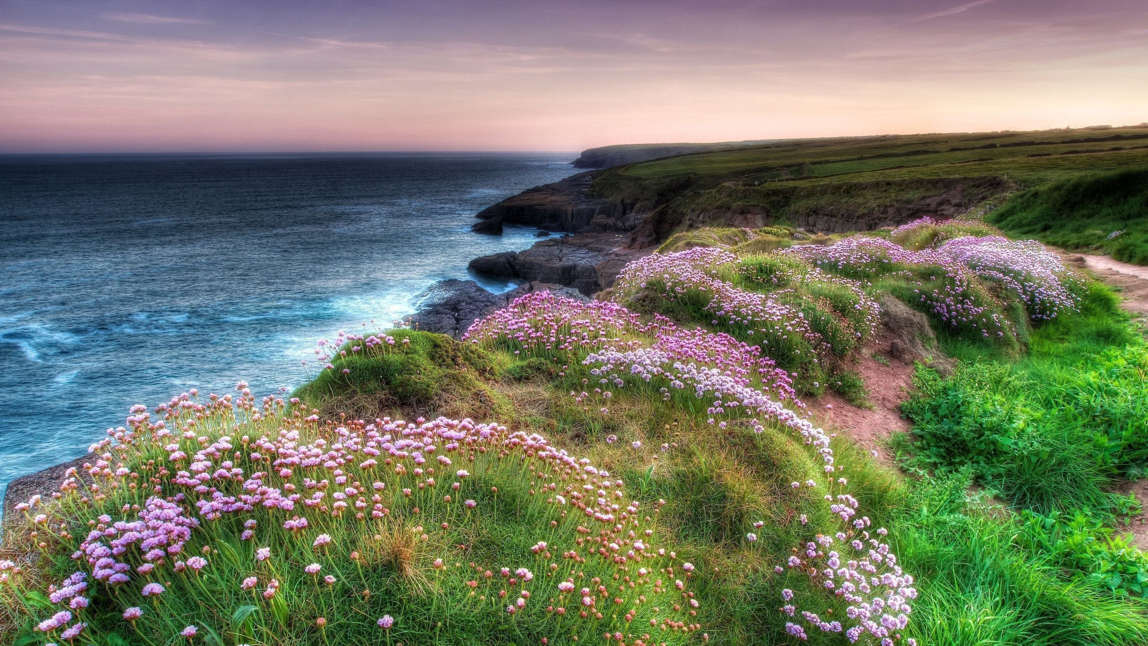 Ireland Countryside Wallpaper