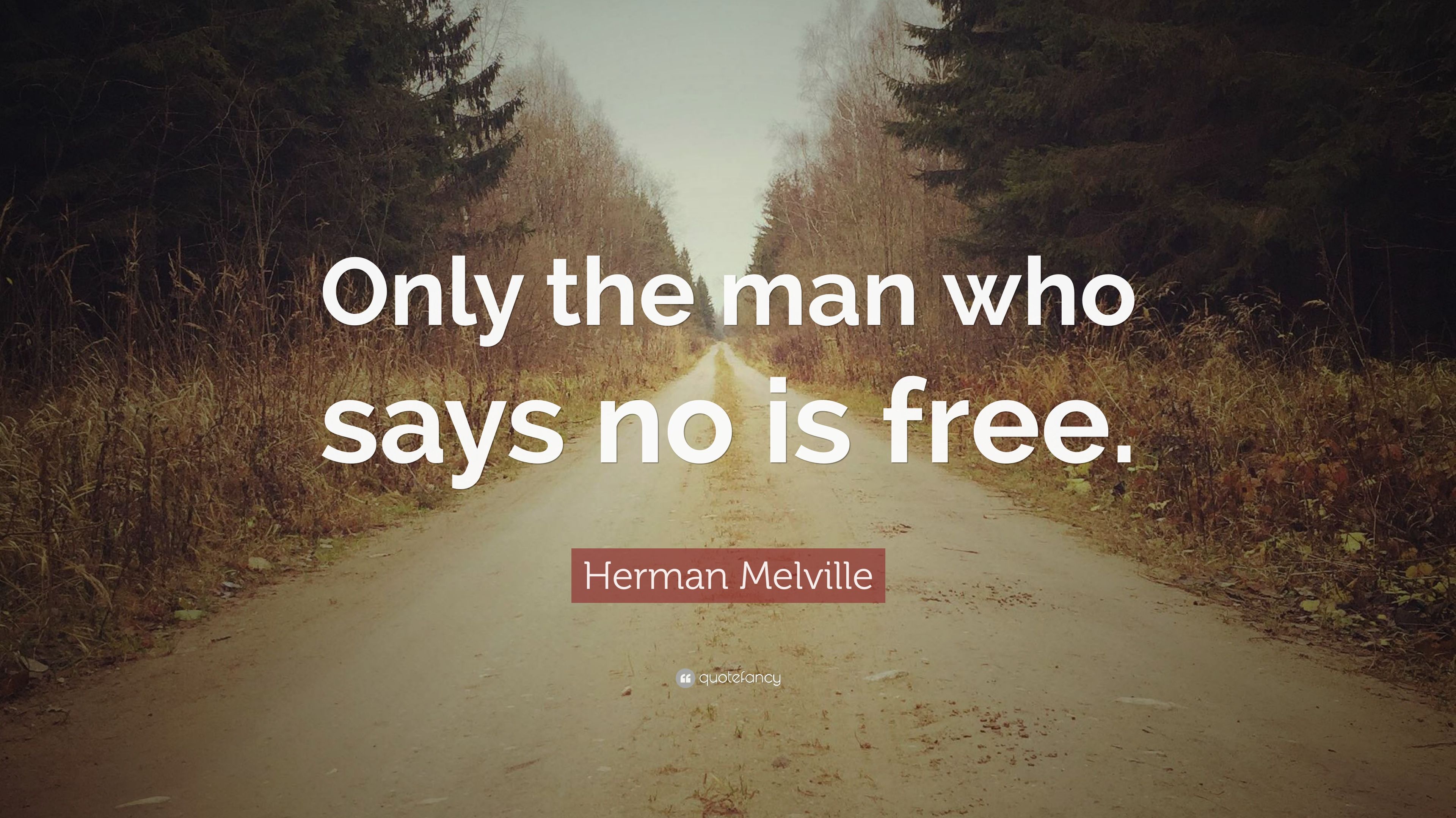 Herman Melville Wallpaper. Herman Lily
