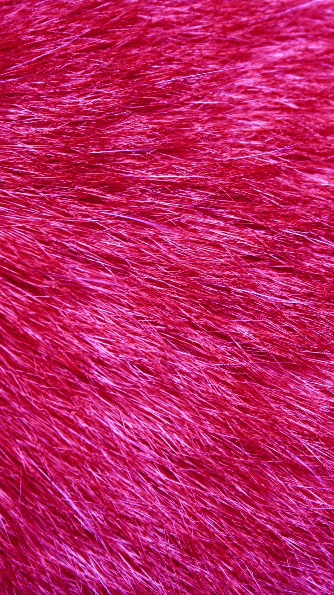 Pink Fluffy to see more fluffy wallpaper!