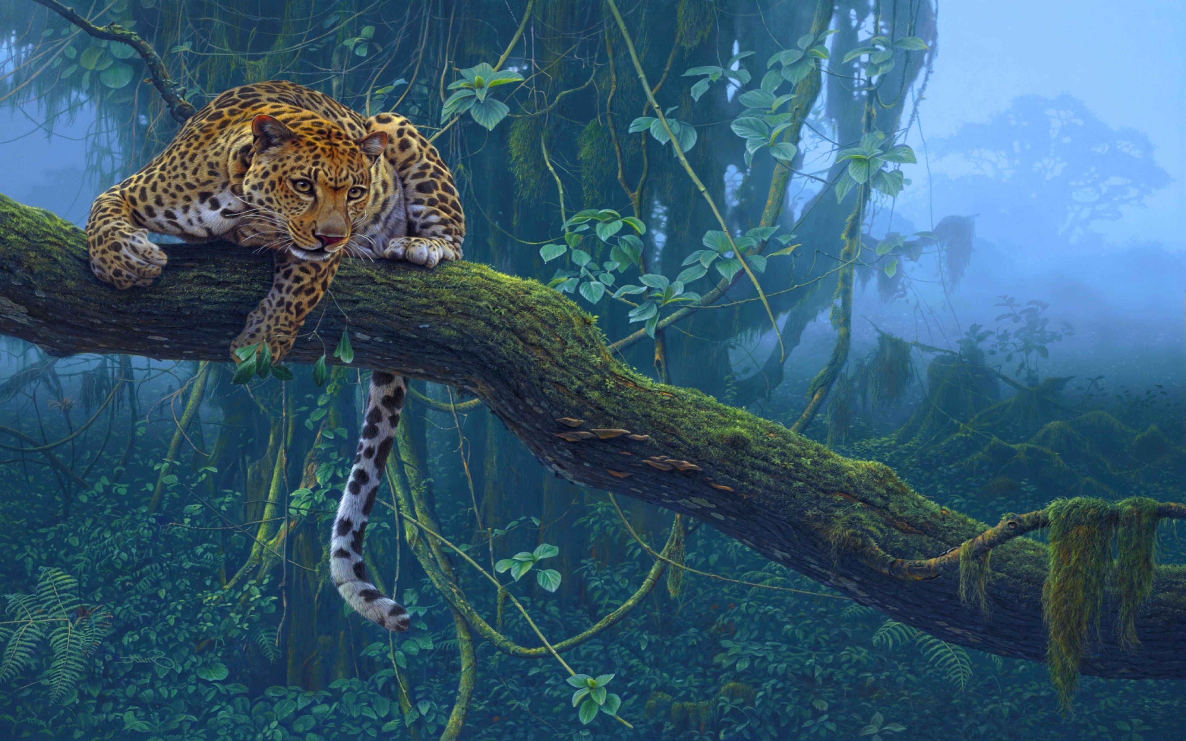 Animals Jungle Leopard On Branch HD Wallpaper 3840x2400