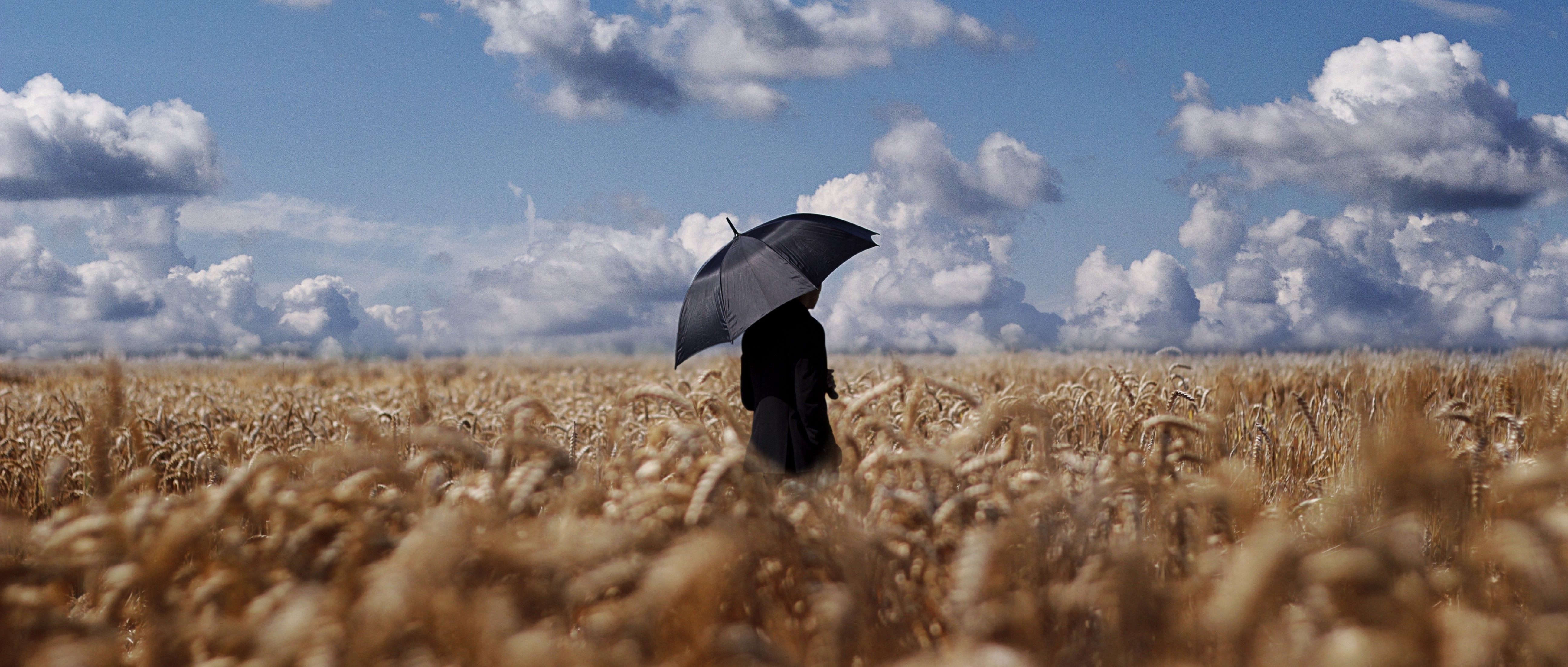 #umbrella, #clouds, #sky, #field, #wheat, wallpaper
